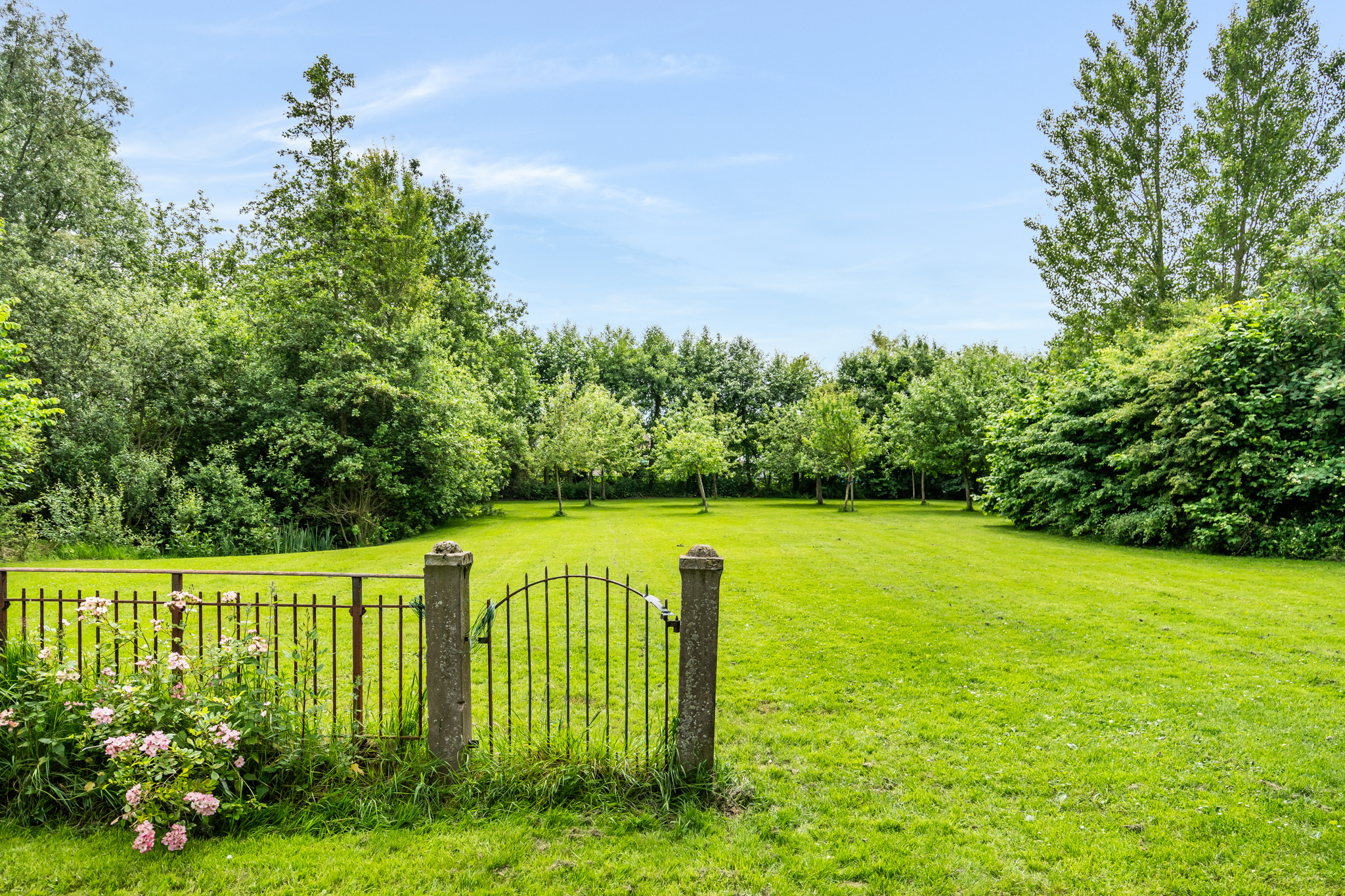 AM100699-33930-200933067