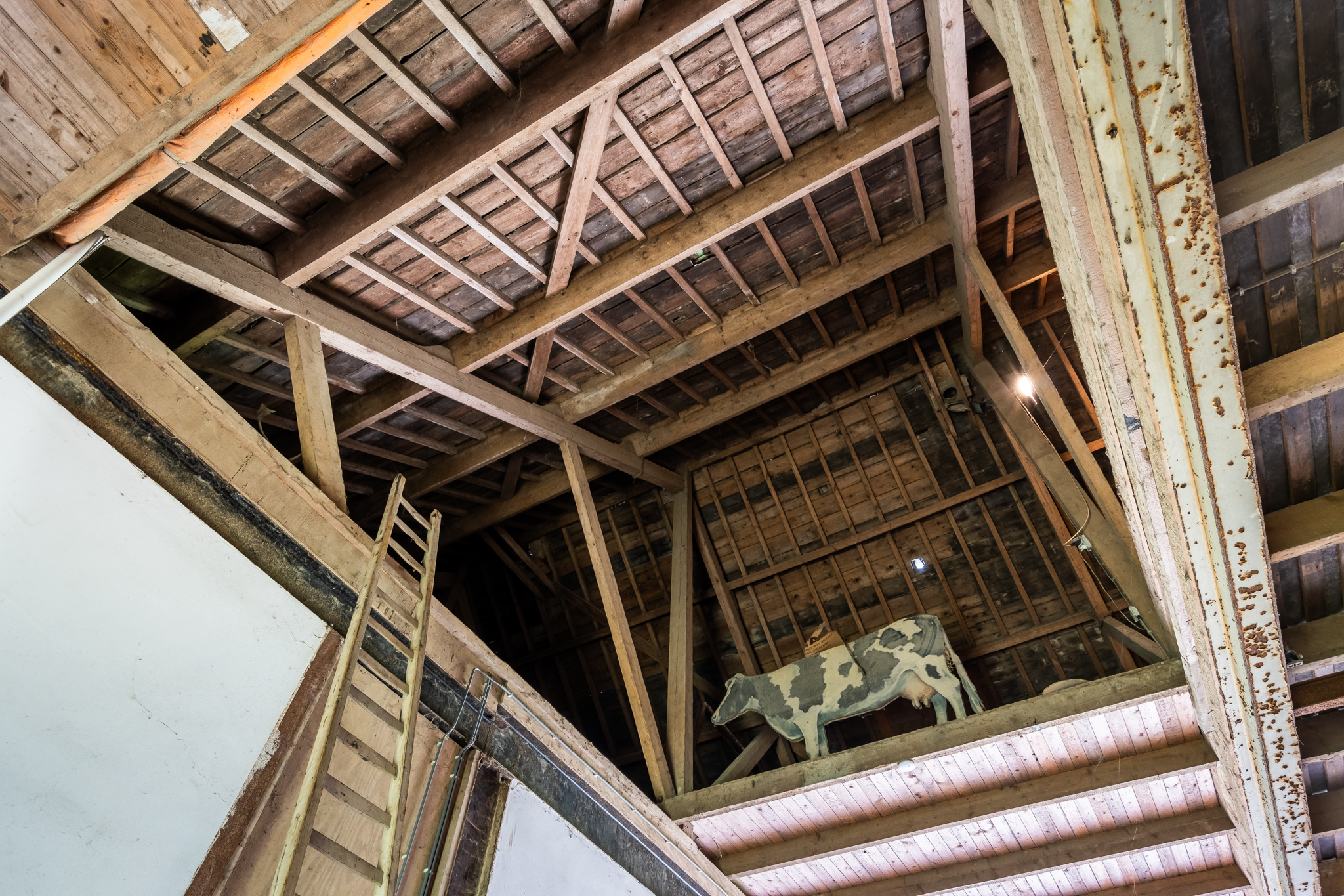 AM100699-33930-200933375