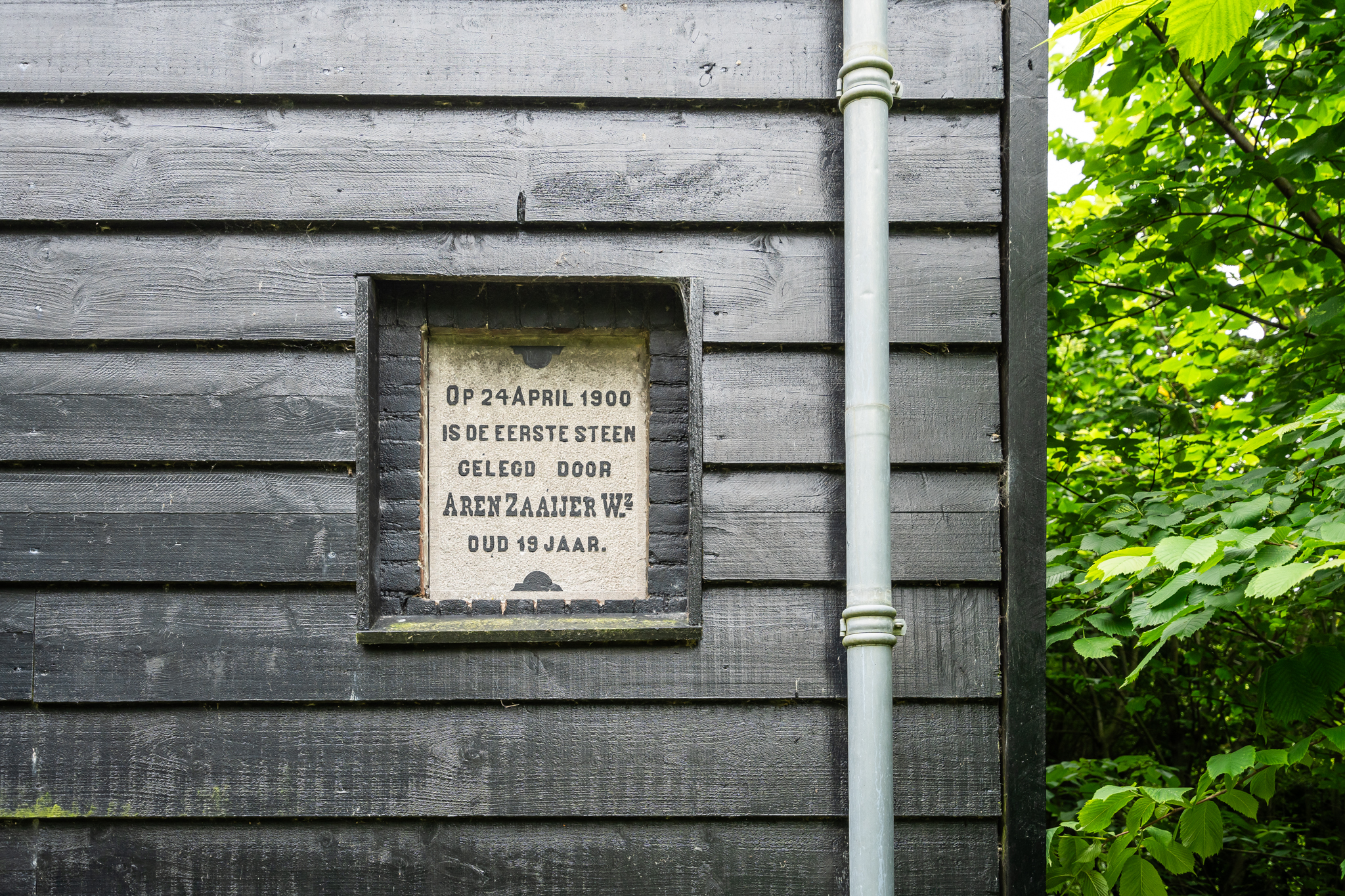 AM100699-33930-200933397