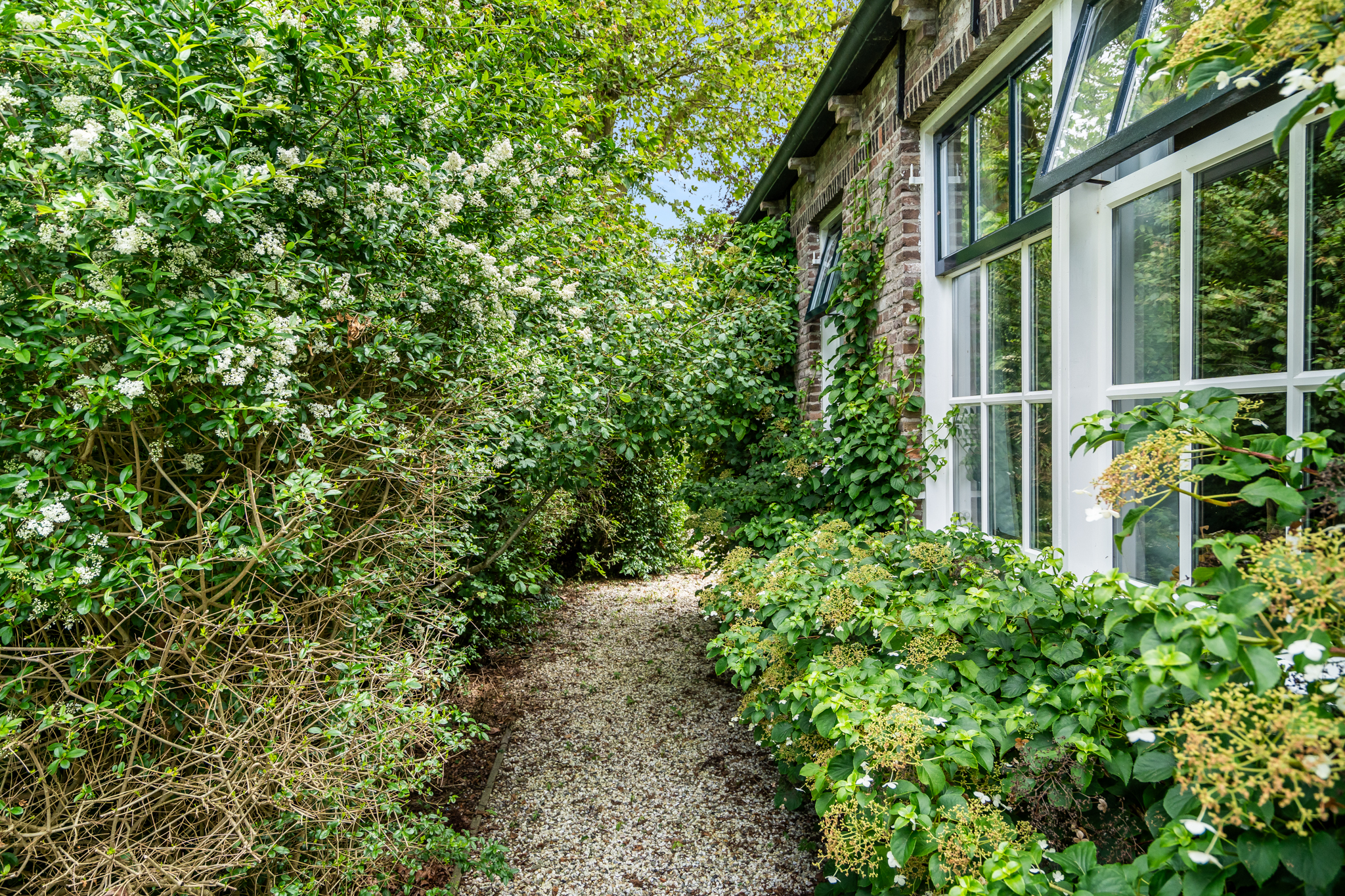 AM100699-33930-200933437