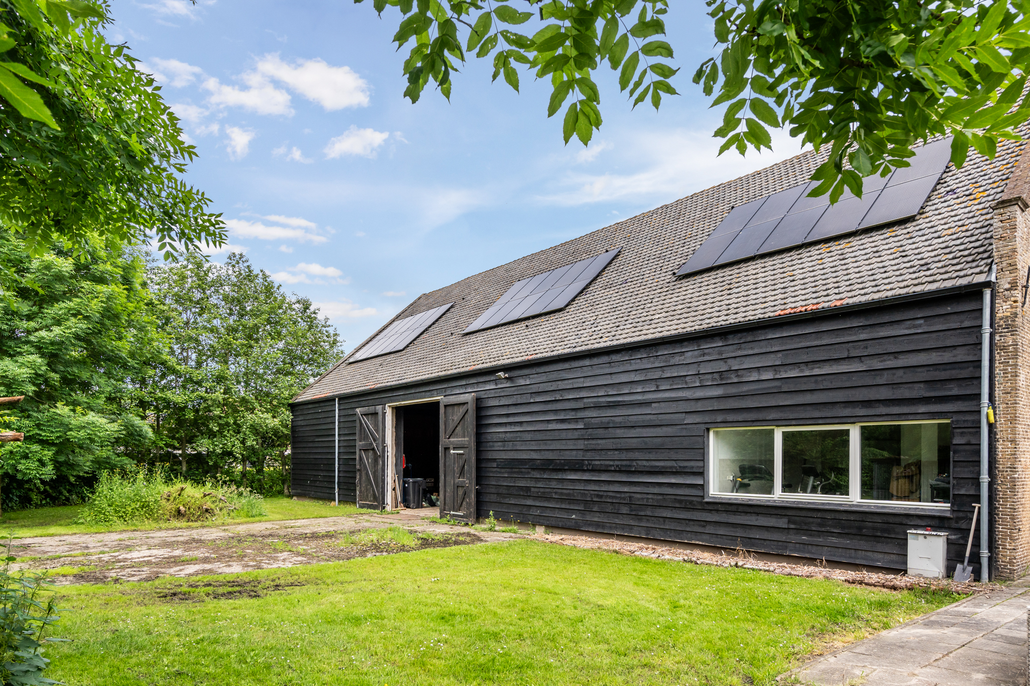 AM100699-33930-200933455