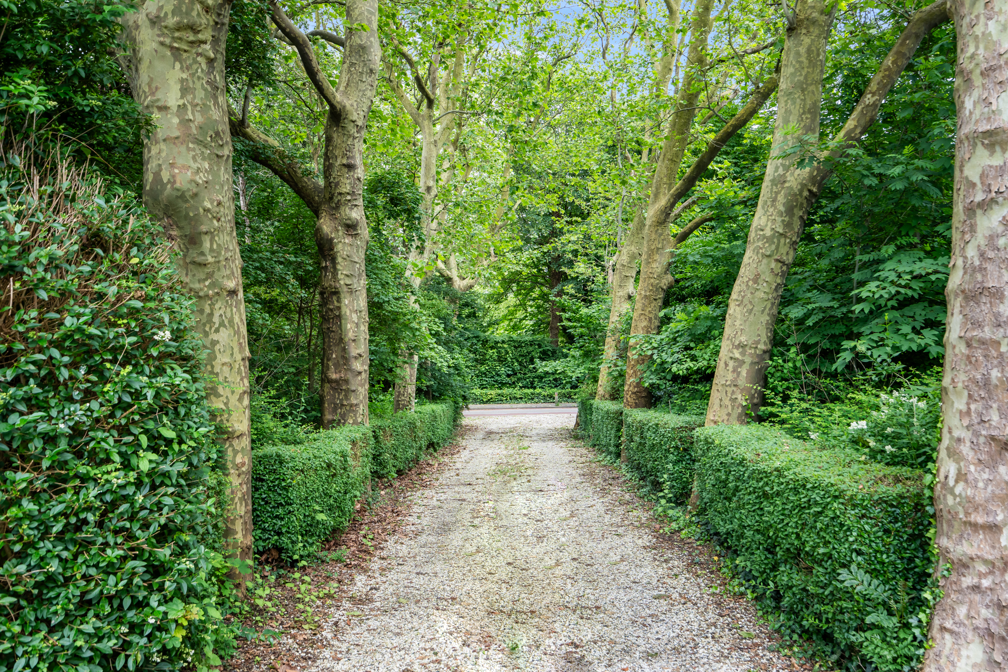 AM100699-33930-200933501