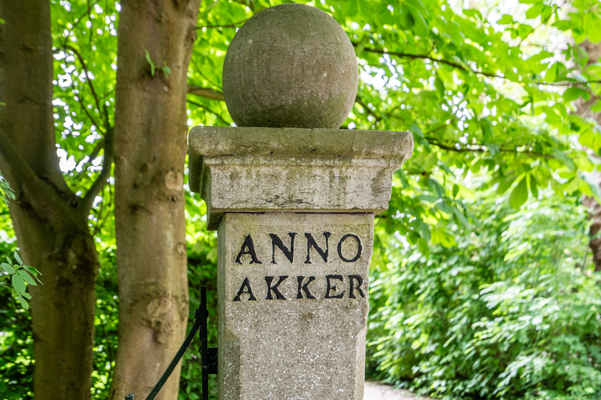 AM100699-33930-200933511