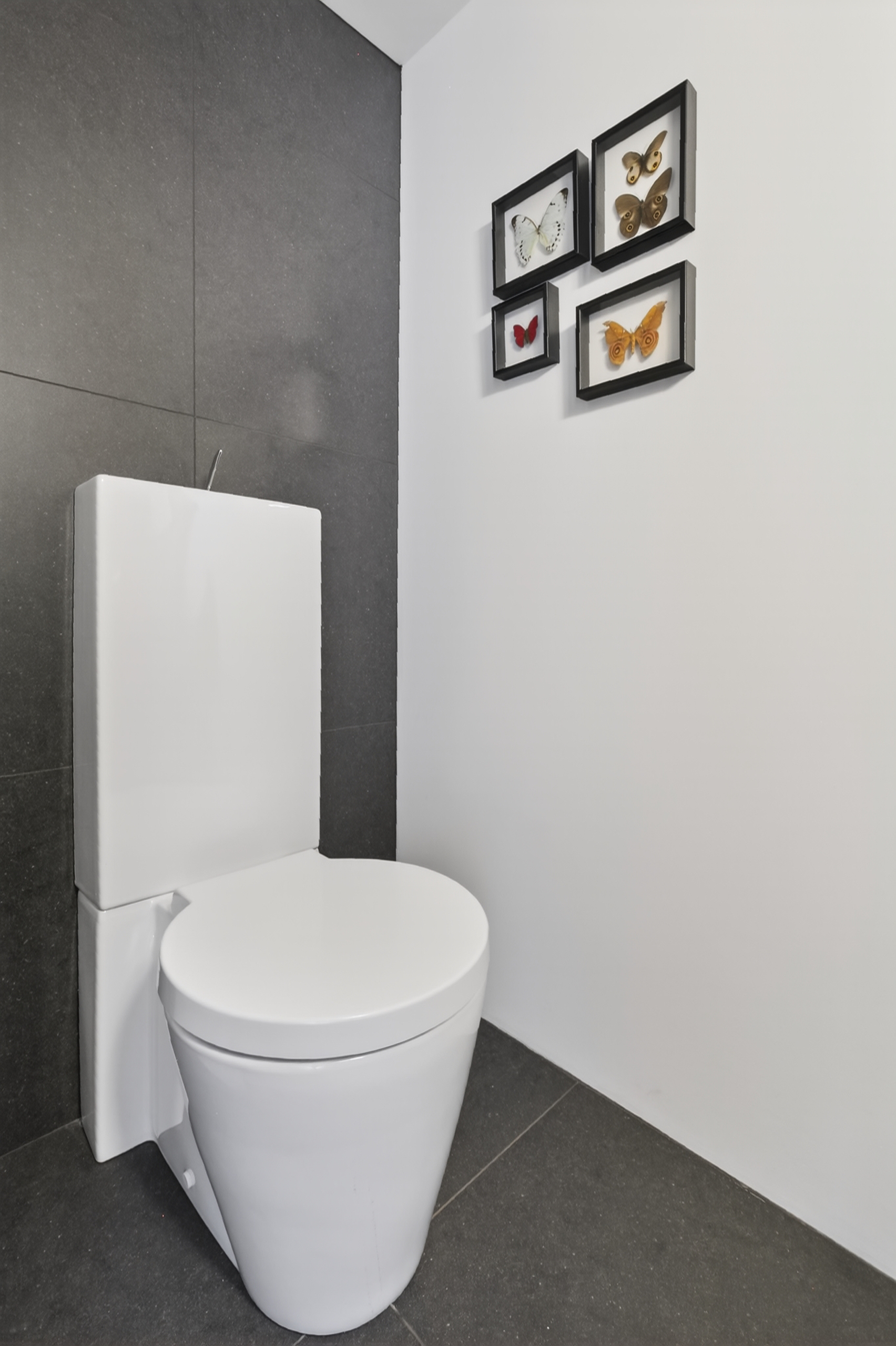 AM100749-44941-Lauriergracht-47E,-Amsterdam-270037148