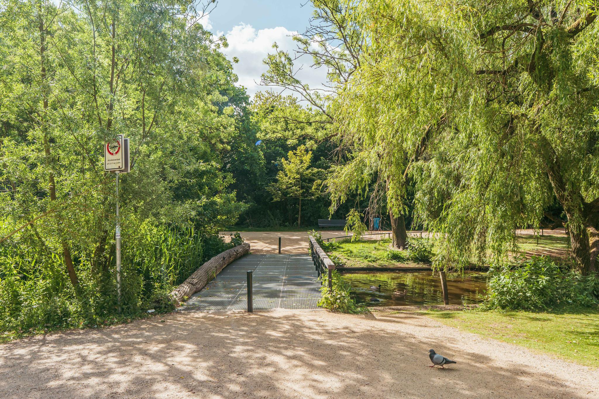 AM100758-46662-Tweede-Jan-Steenstraat-49A,-Amsterdam-233246214