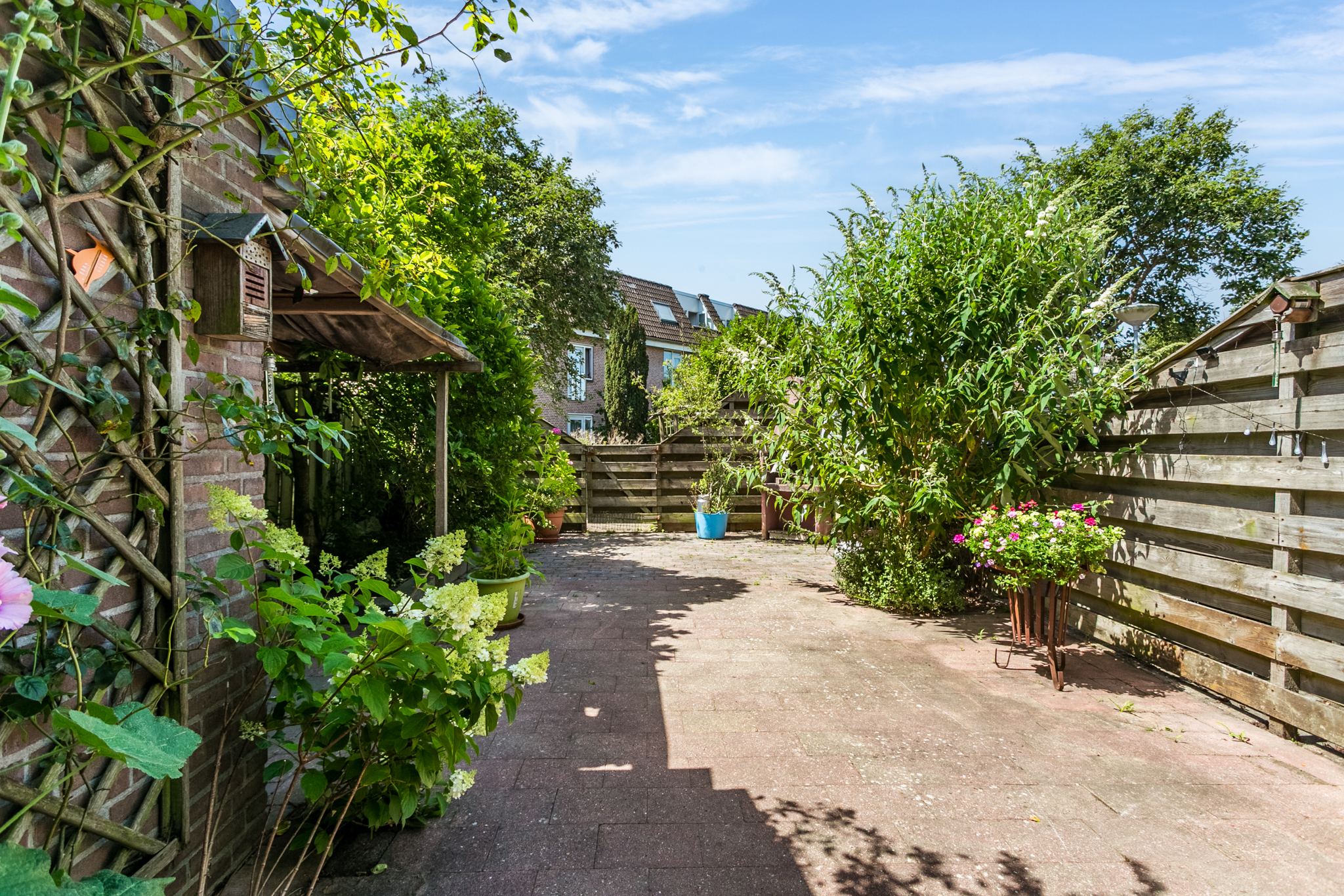 AM100767-47234-Rietmeent-76,-Almere-237035964