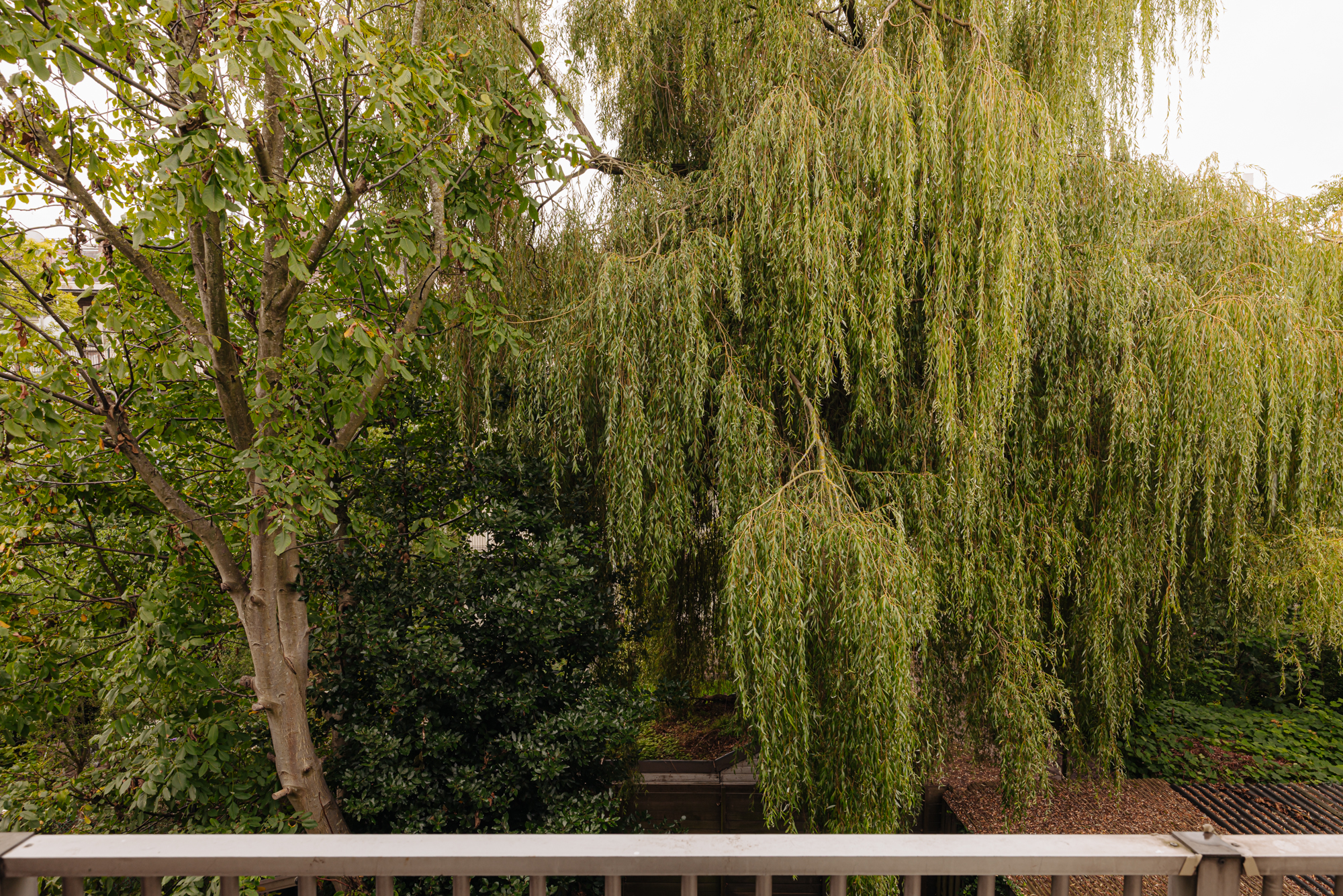 AM100781-48783-Bestevaerstraat-259-2,-Amsterdam-243897214