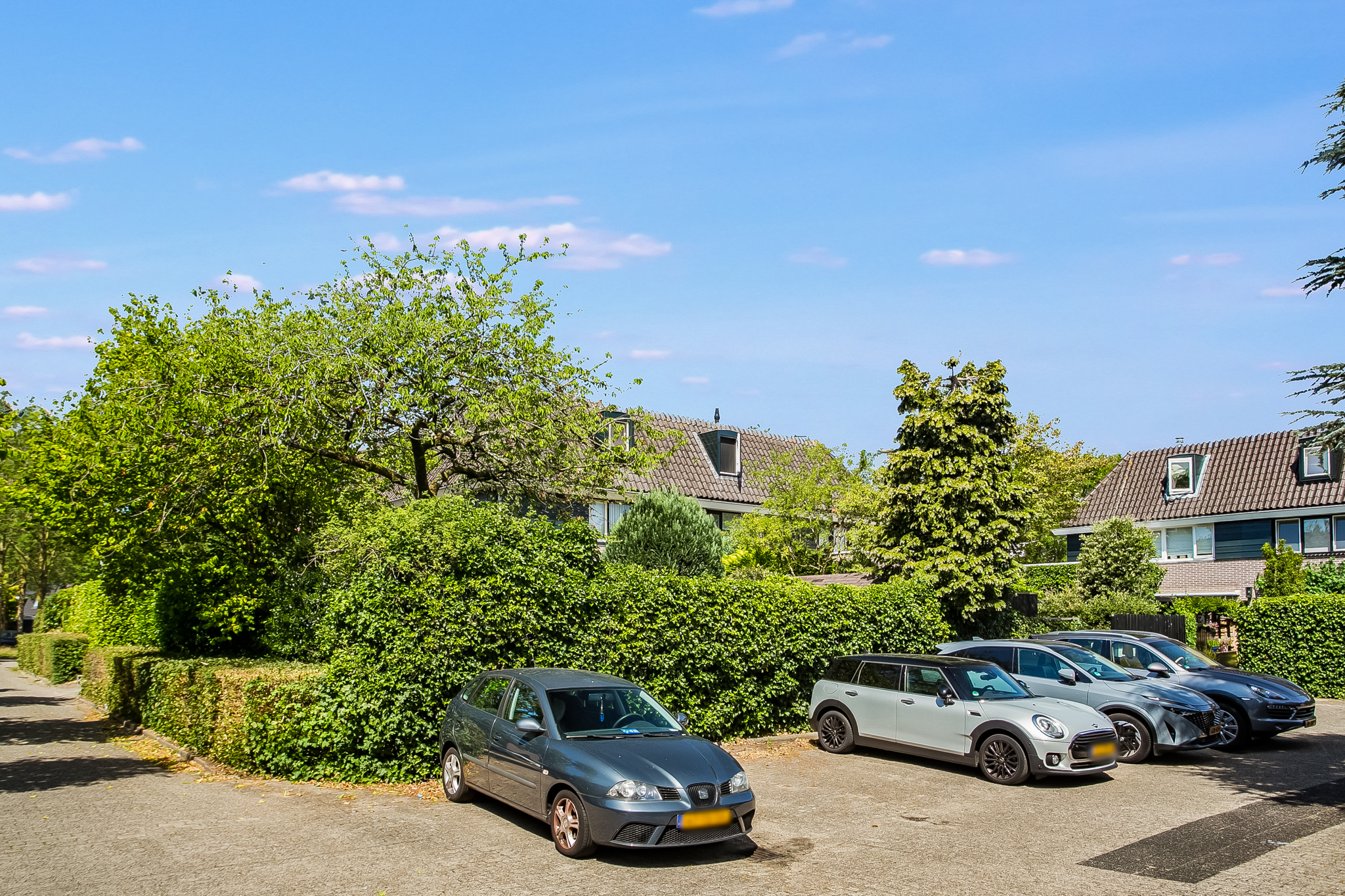 AM100785-49090-Reiger-3,-Blaricum-245105184