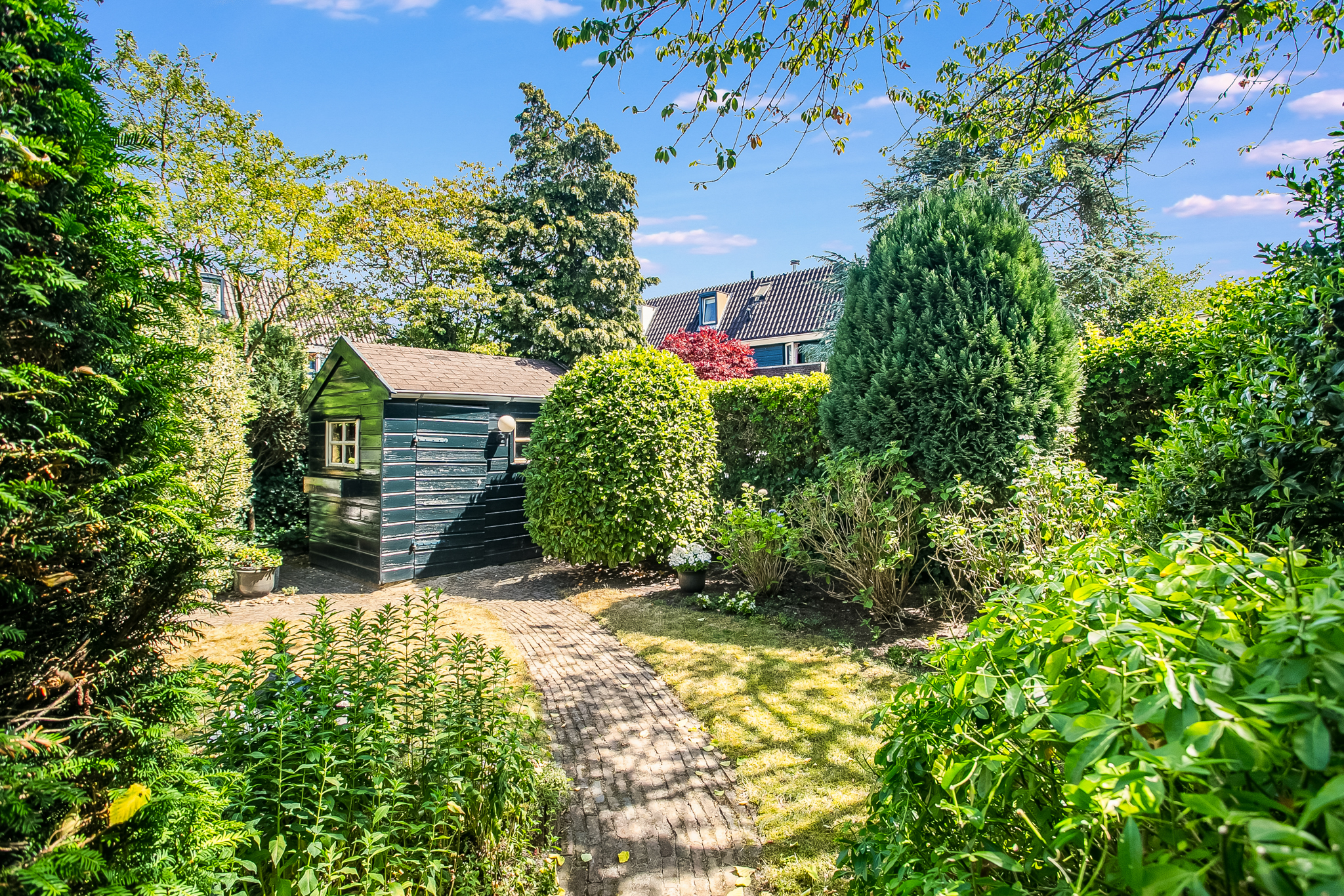 AM100785-49090-Reiger-3,-Blaricum-245105188