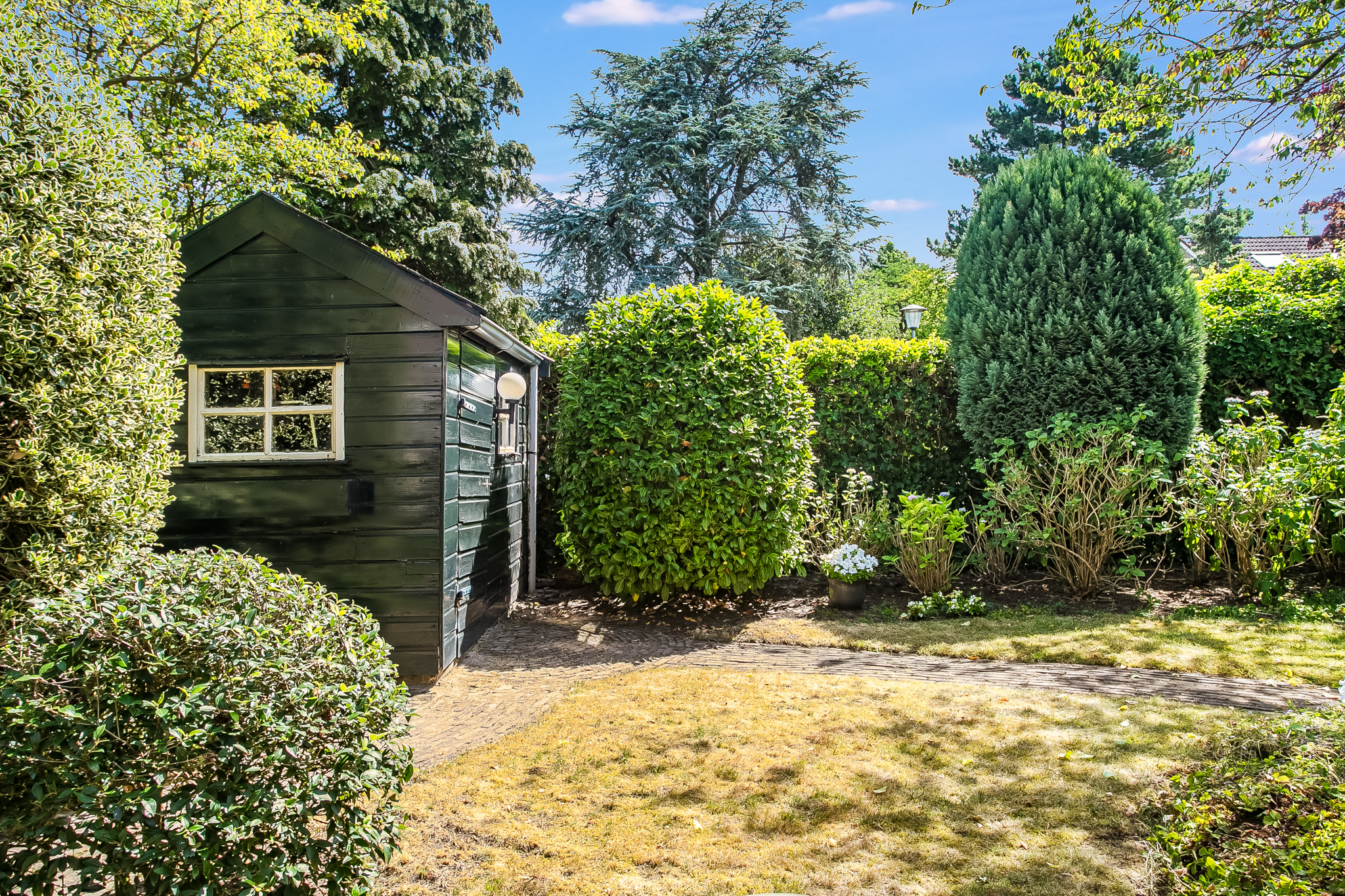 AM100785-49090-Reiger-3,-Blaricum-245105196