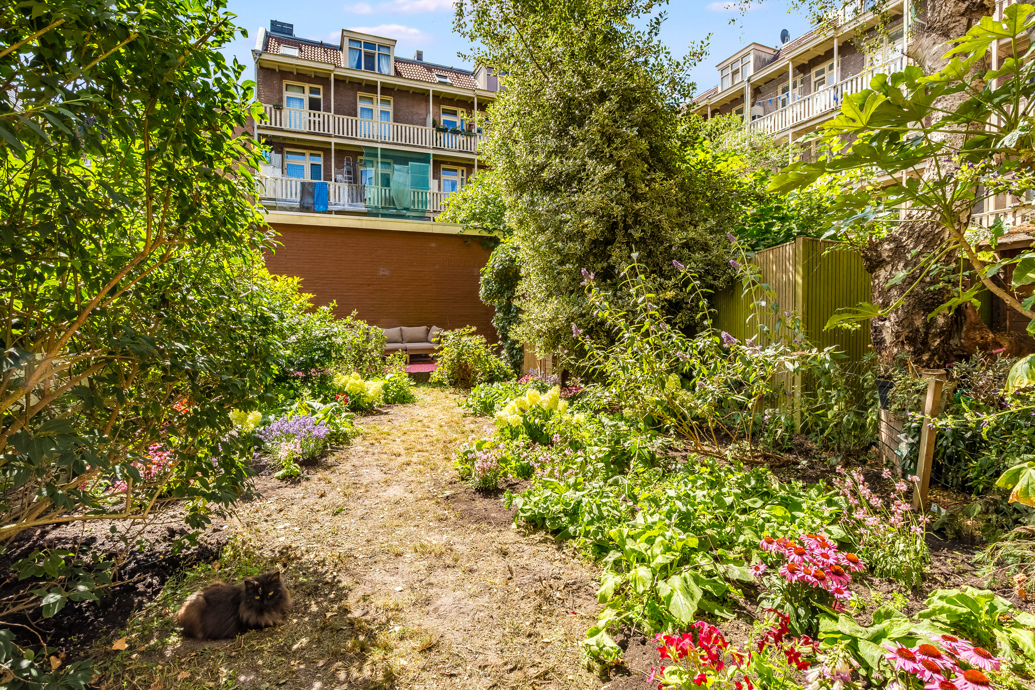 AM100787-49487-Bellamystraat-117-1,-Amsterdam-247111044