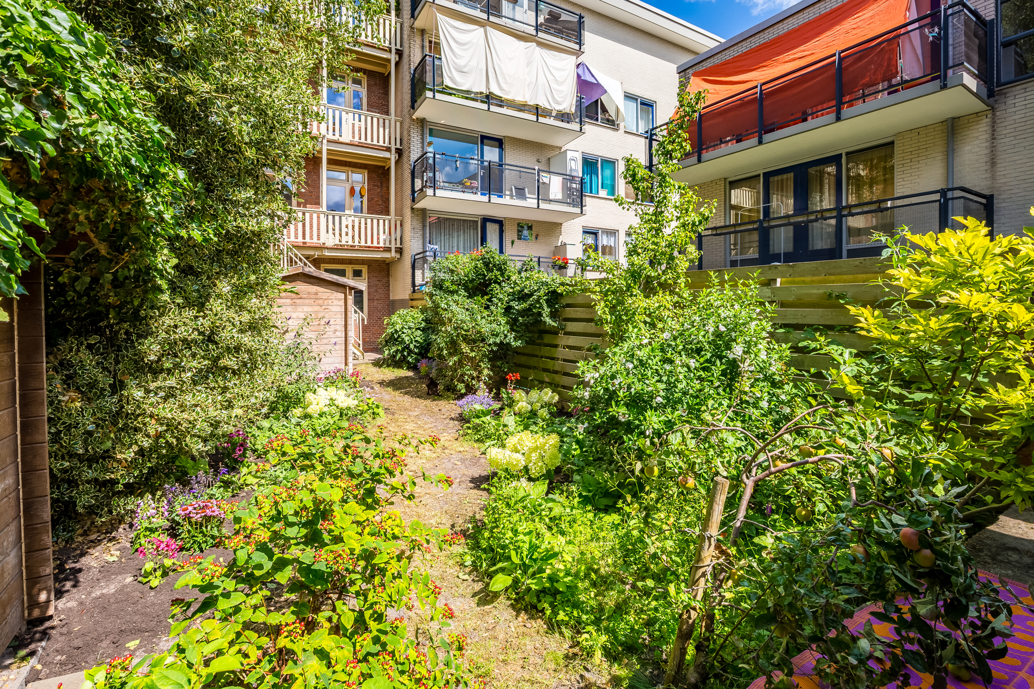 AM100787-49487-Bellamystraat-117-1,-Amsterdam-247111160