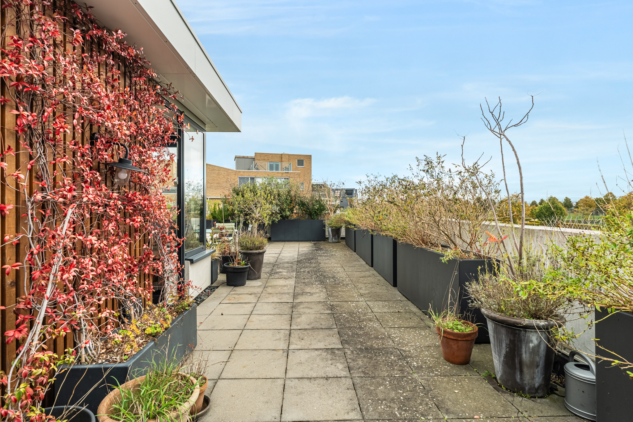 AM100800-50685-Dettifossstraat-162,-Almere-251415784