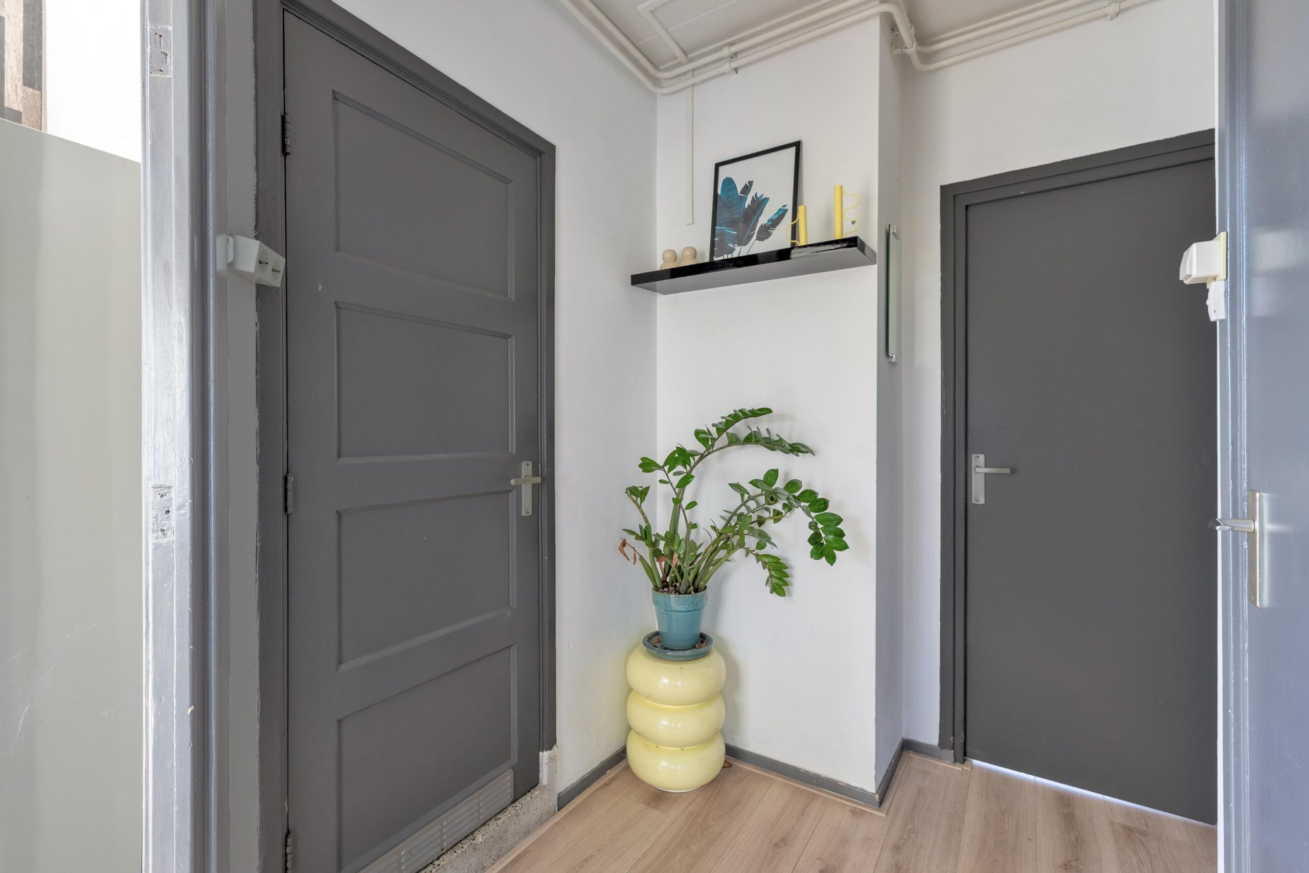 AM100804-51233-Twee-Koningskinderenstraat-2-3,-Amsterdam-253125864