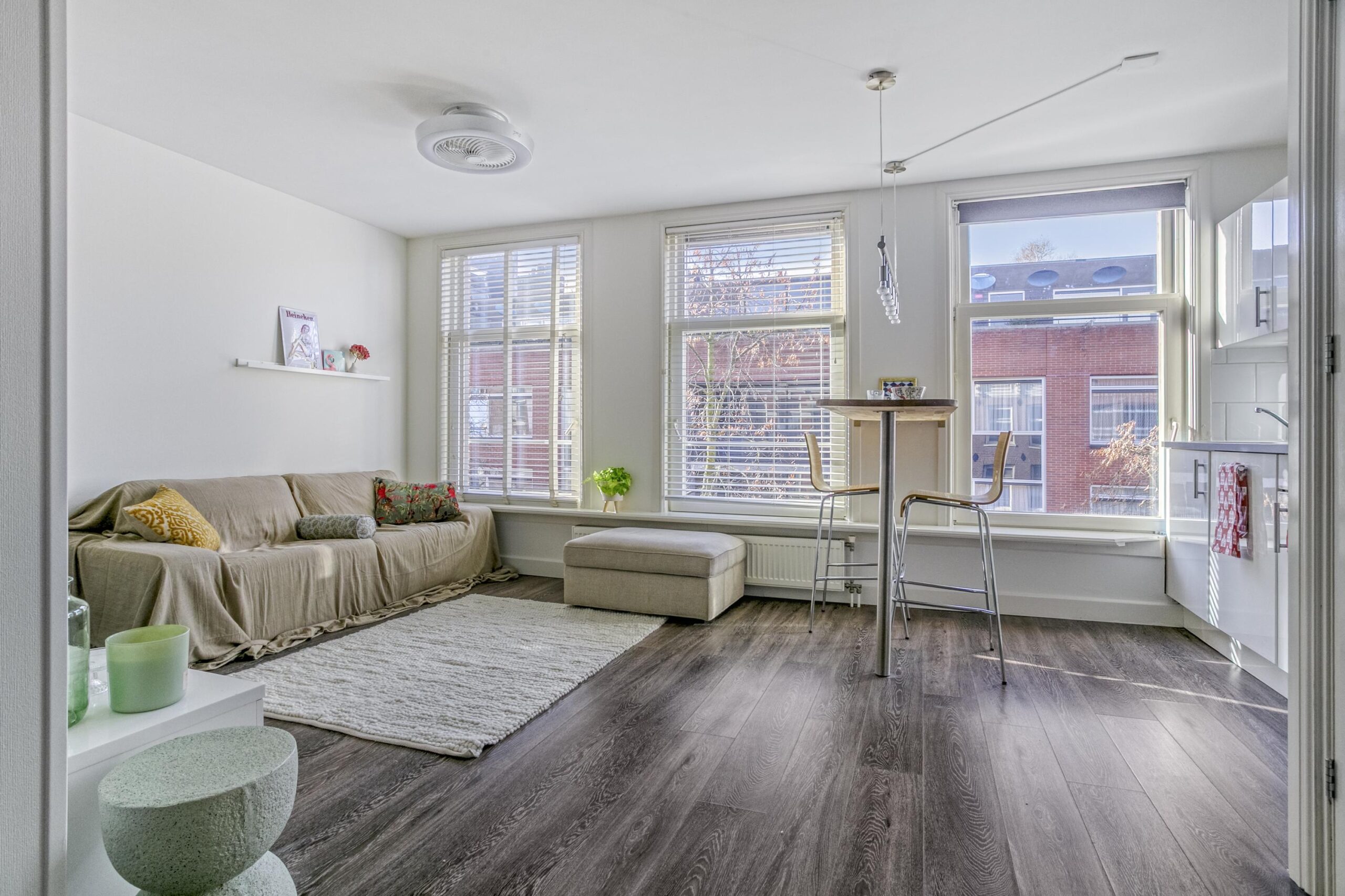 AM100808-51666-Eerste-Sweelinckstraat-213V,-Amsterdam-254943940