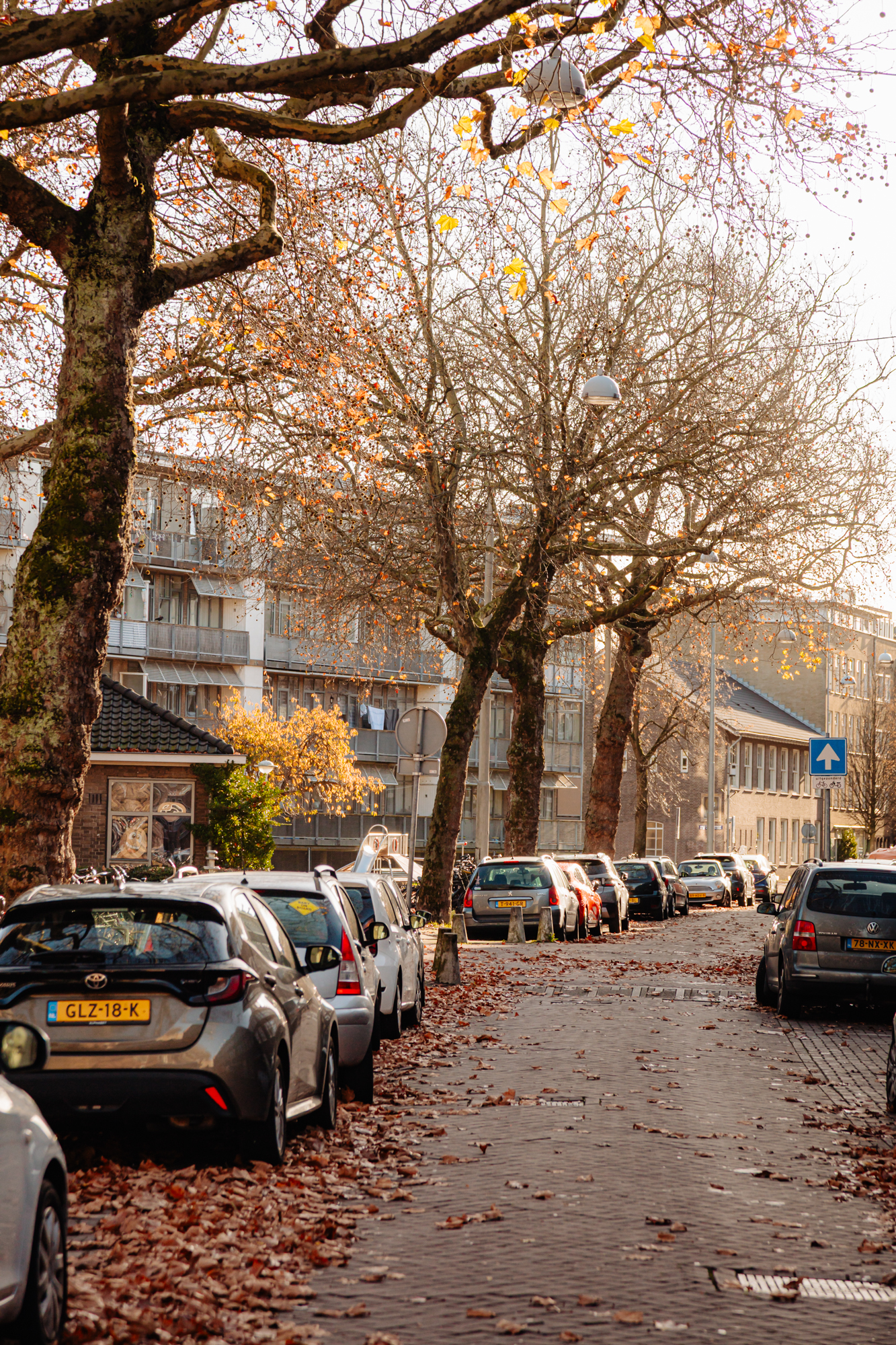 AM100809-51516-Bestevâerstraat-259H,-Amsterdam-254682504