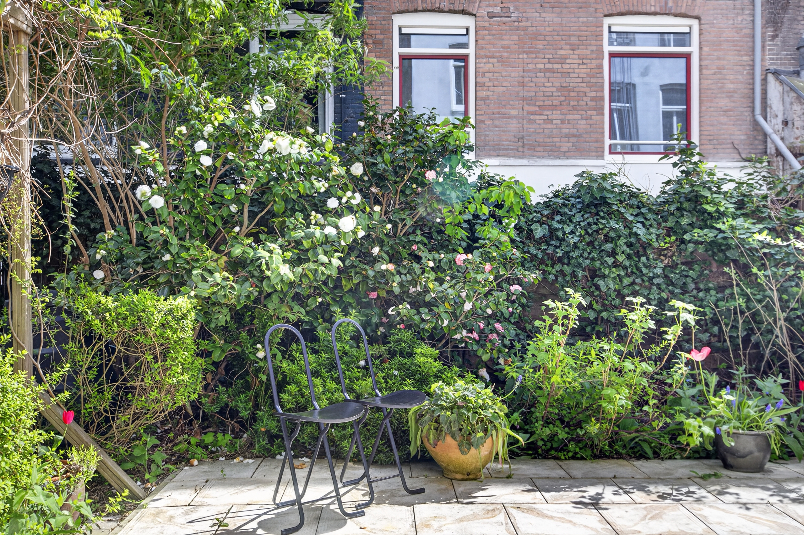 AM100818-53440-Hemonylaan-19H,-Amsterdam-272750866