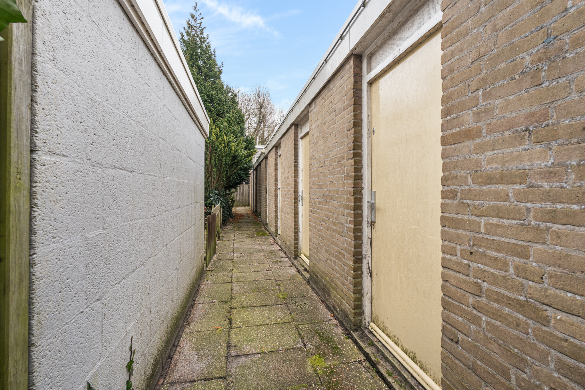 AM100823-52966-Oogststraat-14-1,-Amsterdam-263120952