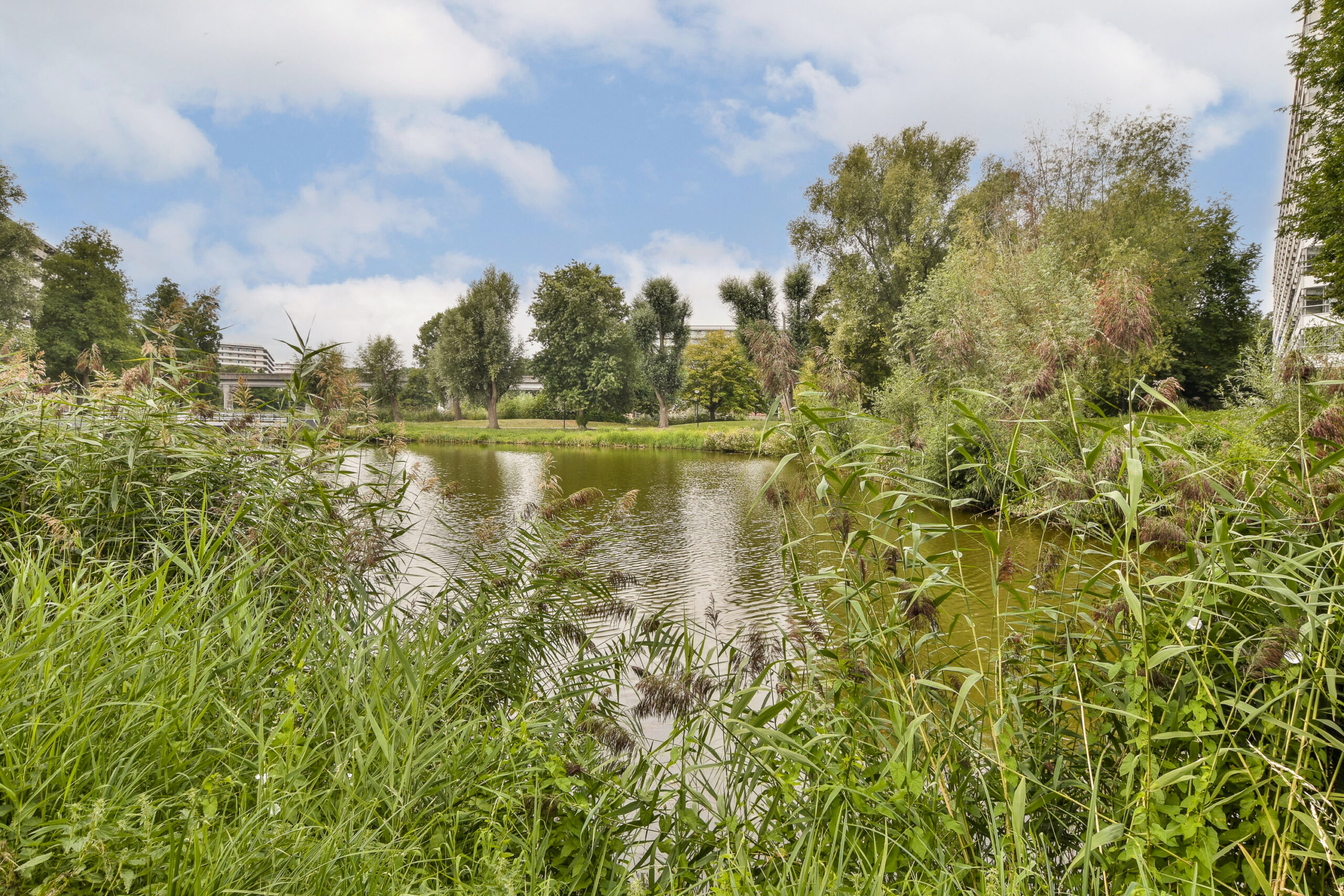 AM100826-53221-Grubbehoeve-718,-Amsterdam-266778718