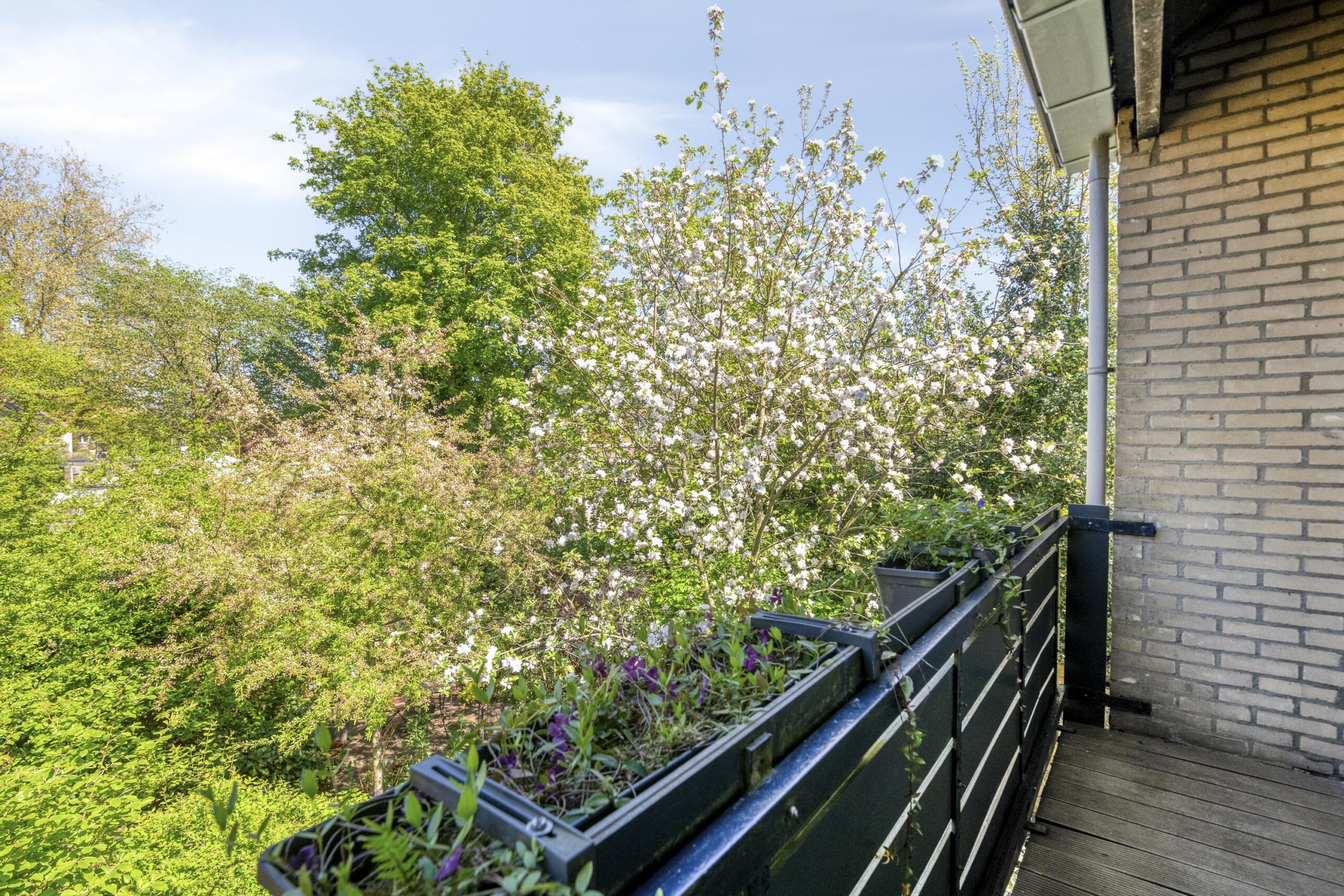 AM100840-54924-Varenmeent-30,-Hilversum-275468864