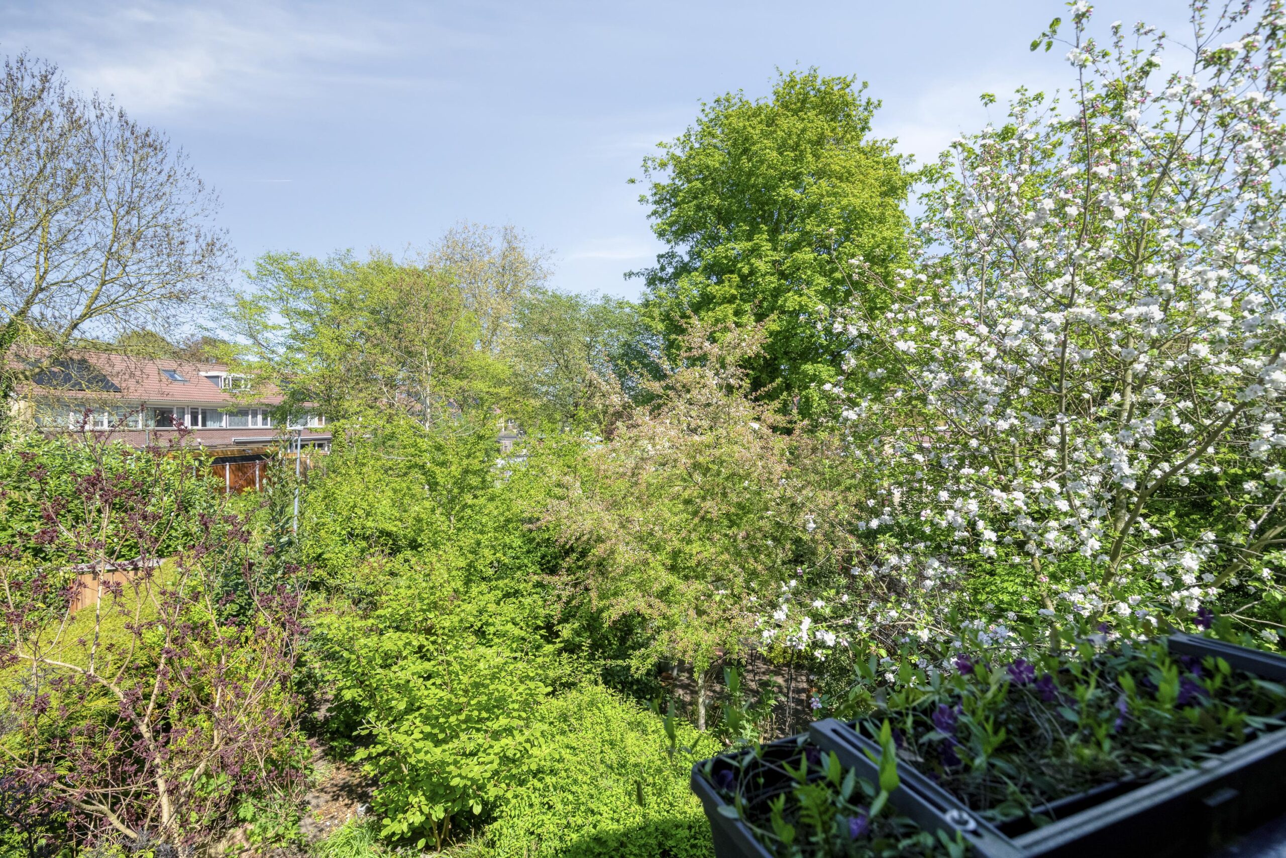 AM100840-54924-Varenmeent-30,-Hilversum-275468878