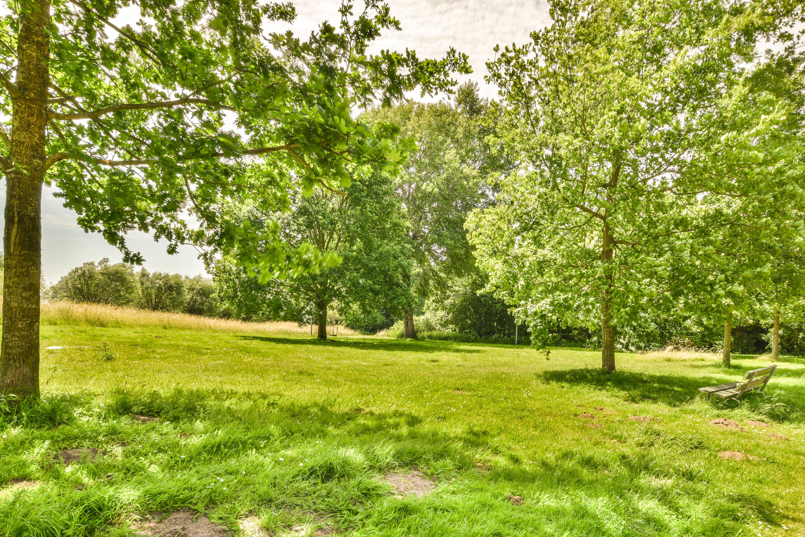 AM100855-56750-Liendenhof-22,-Amsterdam-283025907