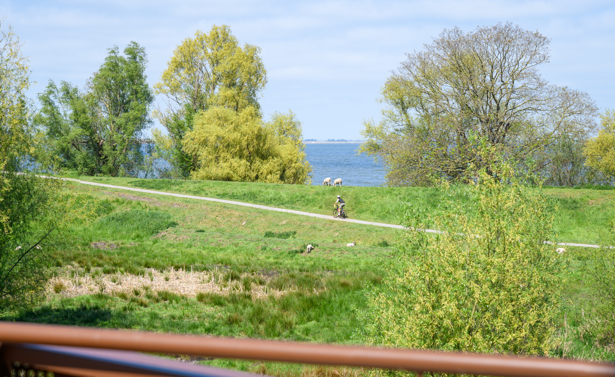 BM100111-51160-De-Krijgsmanlaan-76,-Muiden-252003032