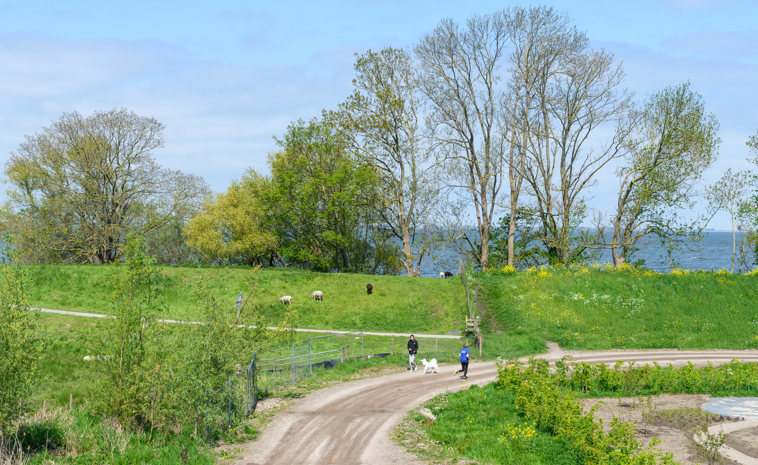 BM100111-51160-De-Krijgsmanlaan-76,-Muiden-252003216