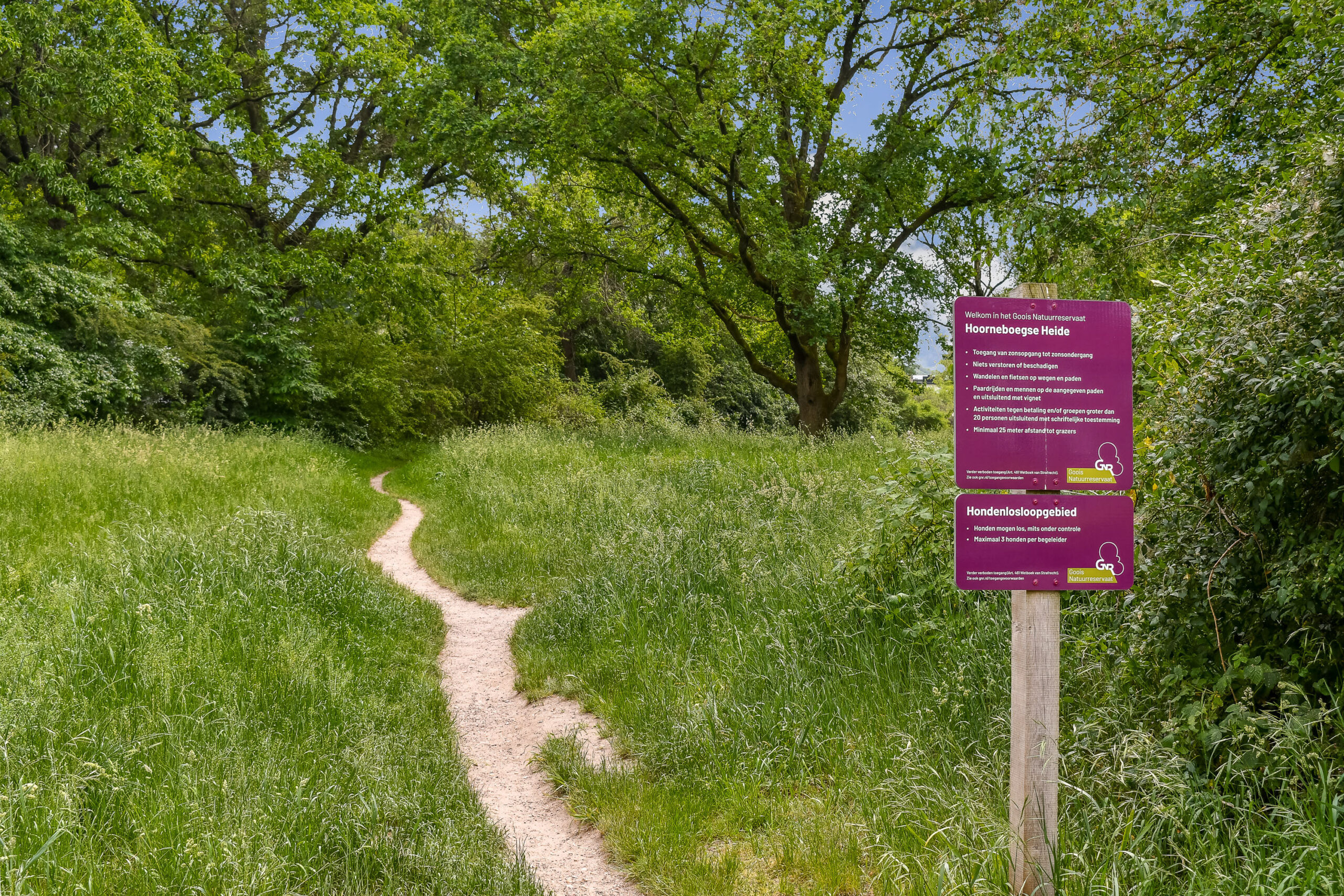 BM100117-56311-Bosdrift-150,-Hilversum-279902548