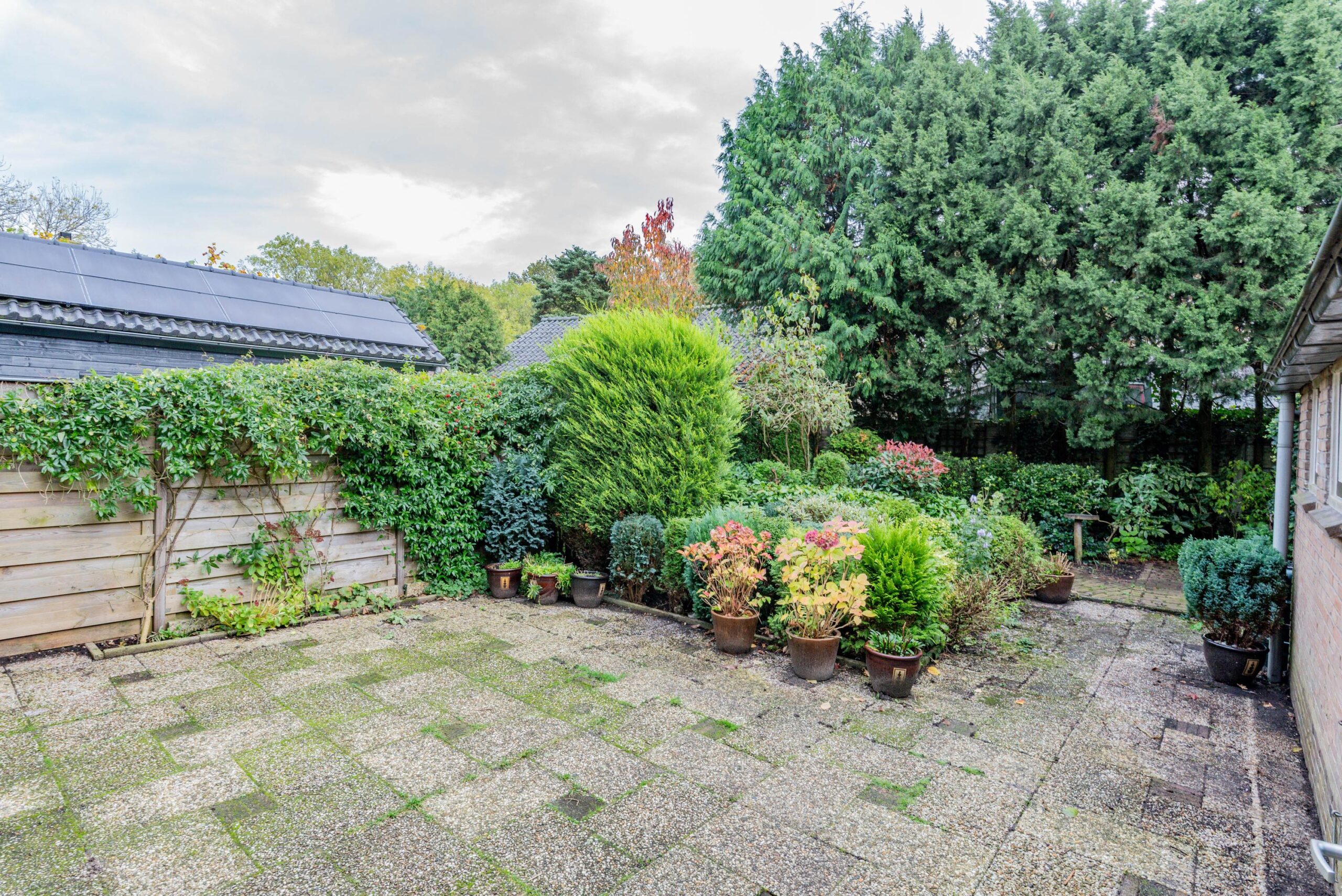 BM100119-53759-Oude-Renbaan-18,-Blaricum-271586410