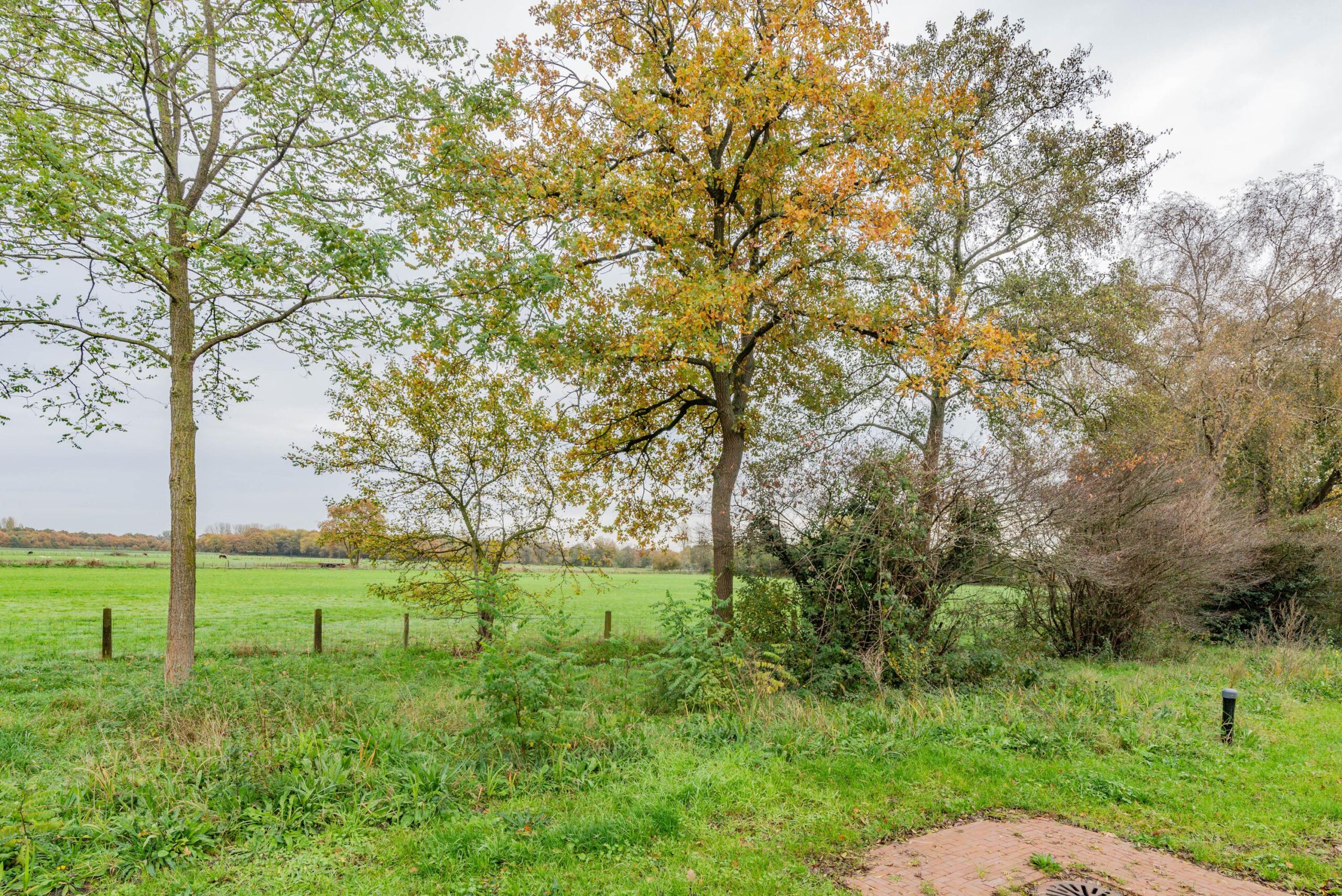 BM100119-53759-Oude-Renbaan-18,-Blaricum-271586412