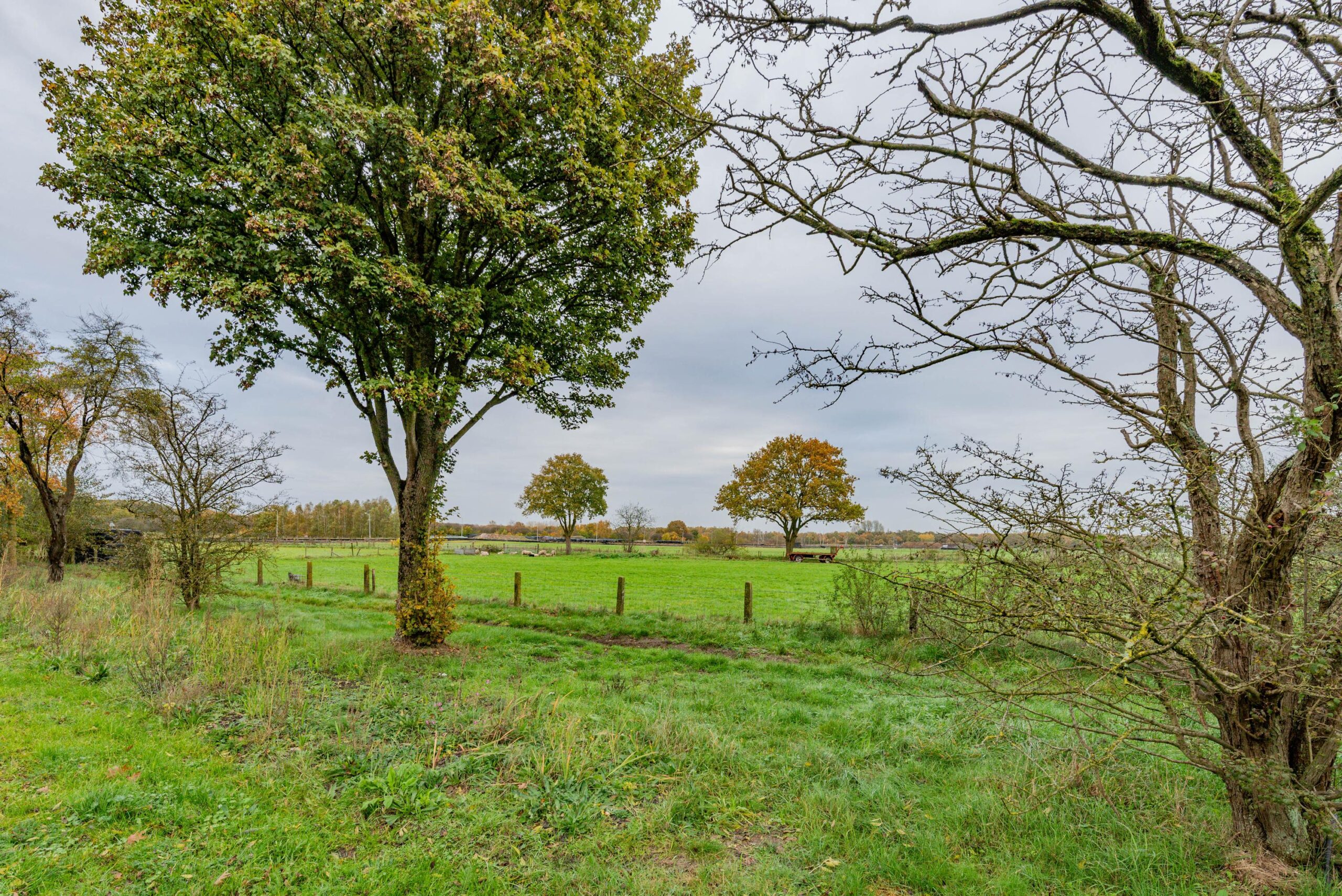 BM100119-53759-Oude-Renbaan-18,-Blaricum-271586414