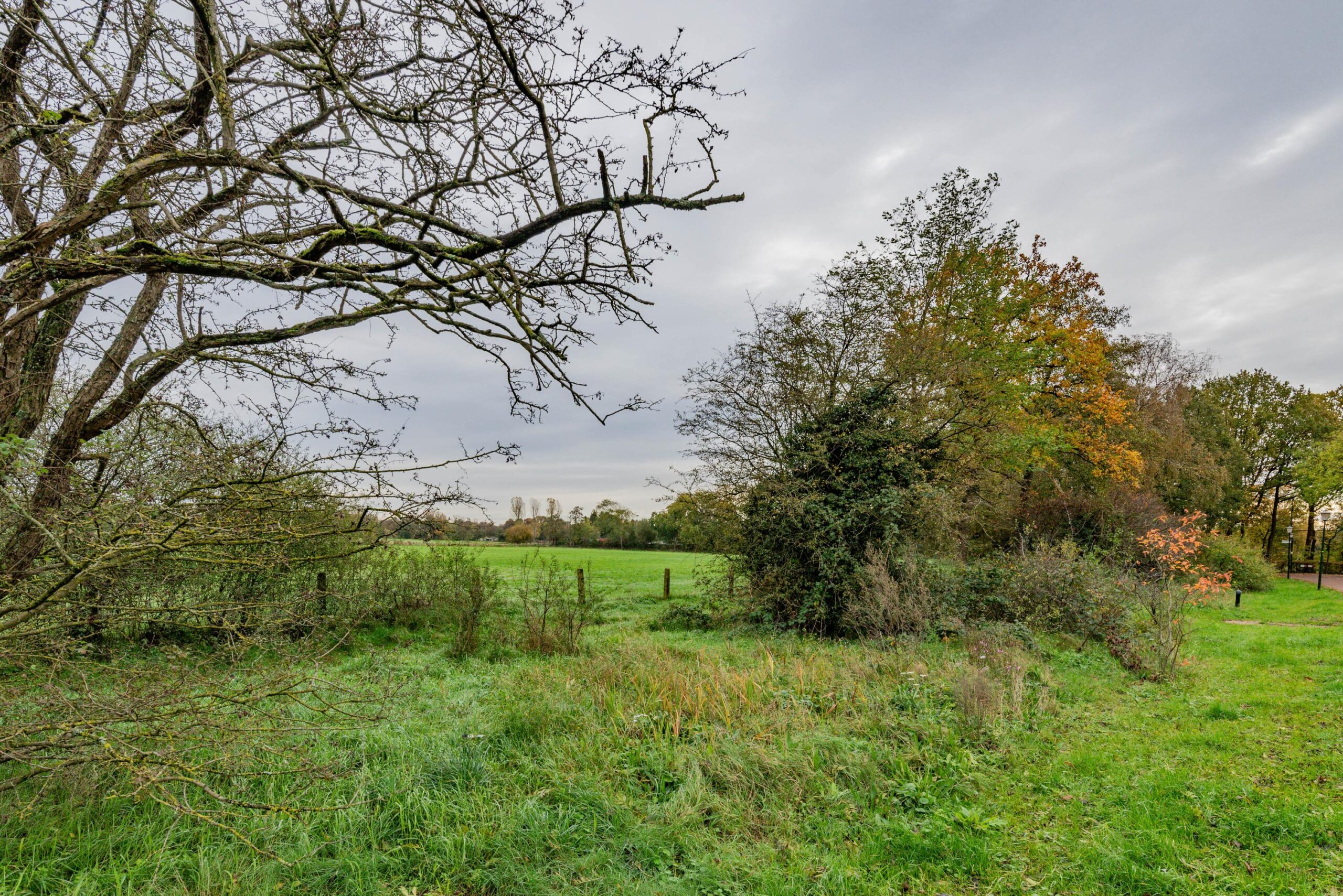 BM100119-53759-Oude-Renbaan-18,-Blaricum-271586416