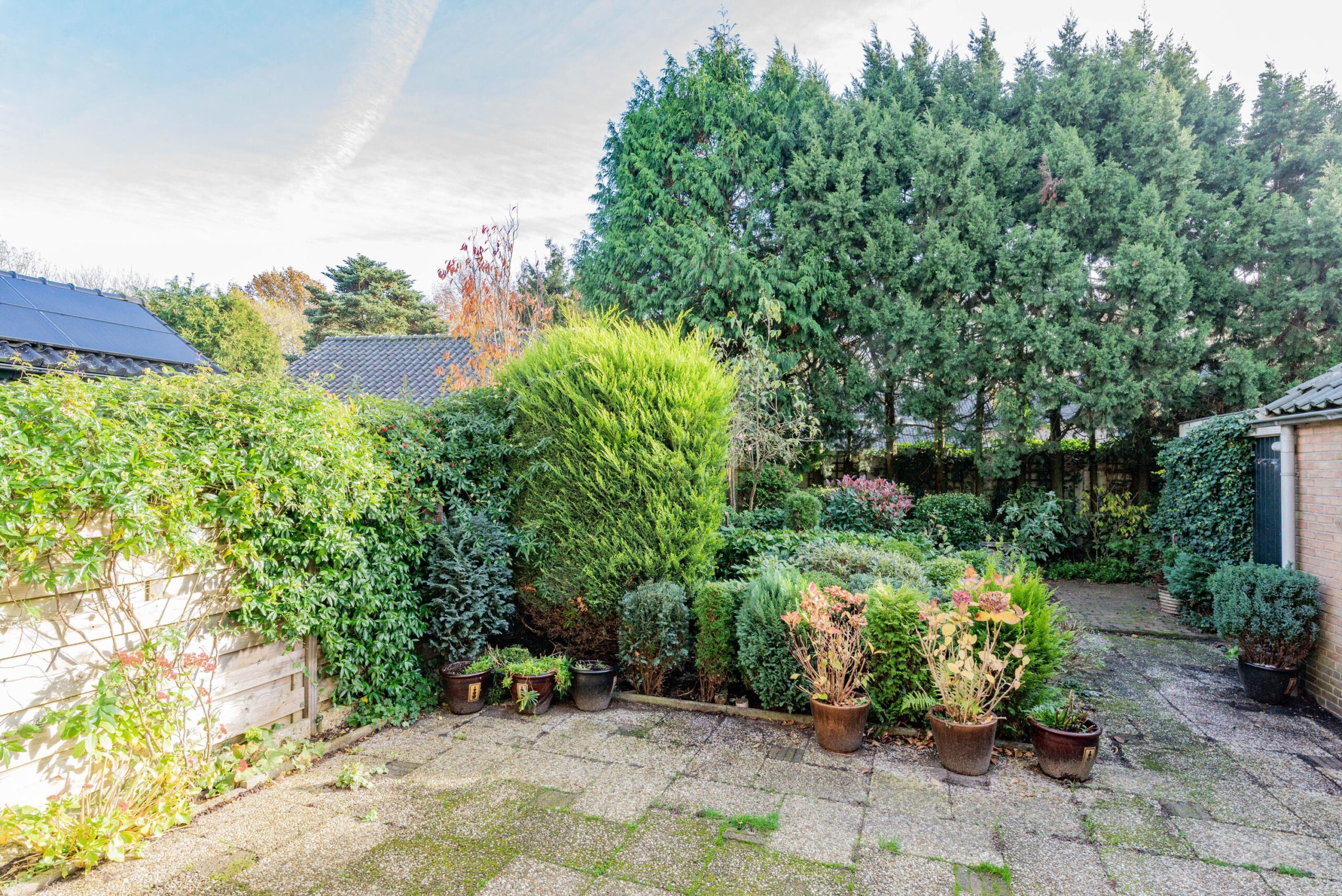 BM100119-53759-Oude-Renbaan-18,-Blaricum-271586420