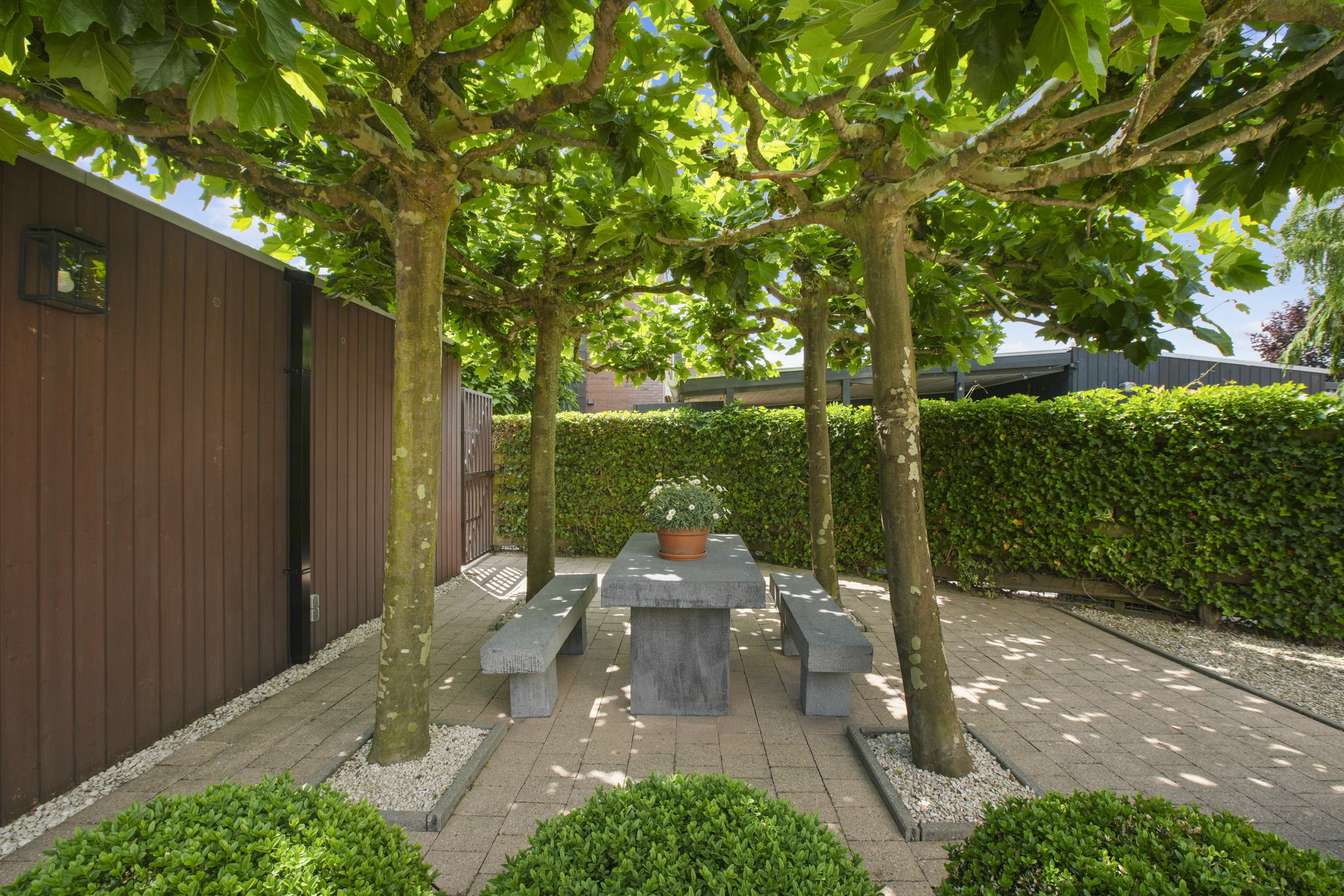 BM100123-54662-Vuurvlindersingel-24,-Utrecht-274310724