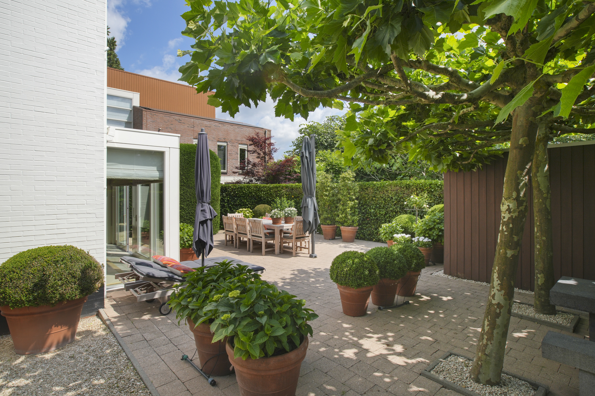BM100123-54662-Vuurvlindersingel-24,-Utrecht-274310748