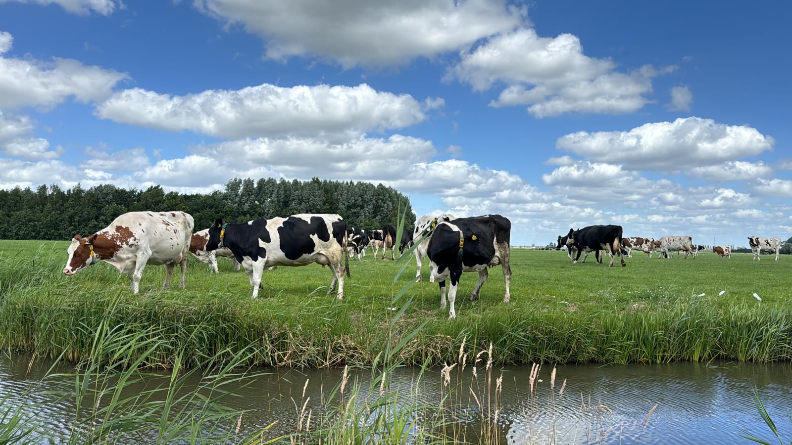 LT100563-47708-Vecht-en-Veld-27,-Vreeland-239219466