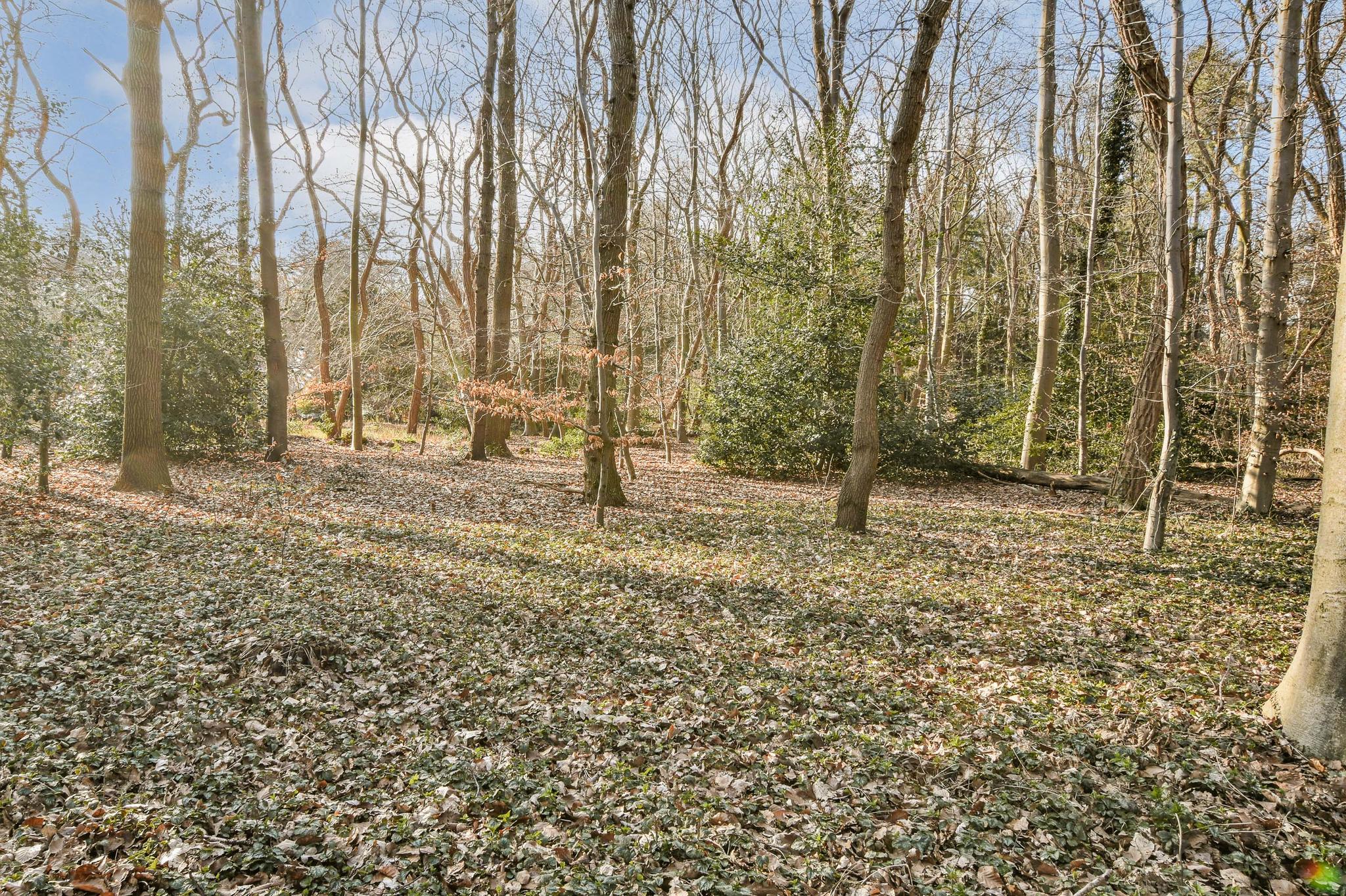 LT100579-45085-Vaartweg-190-47,-Hilversum-223286085