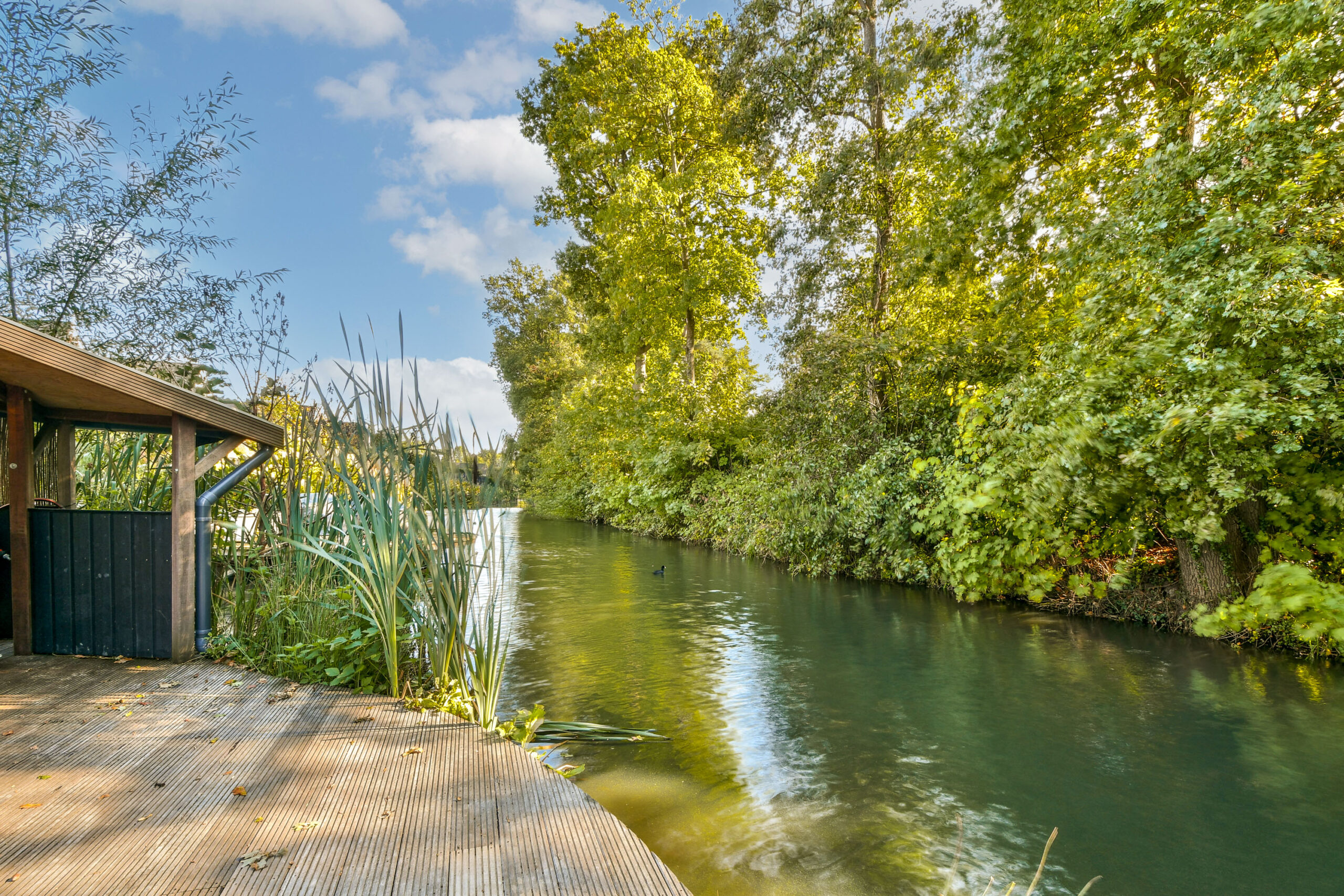 LT100603-49558-Vecht-en-Veld-53,-Vreeland-247203564