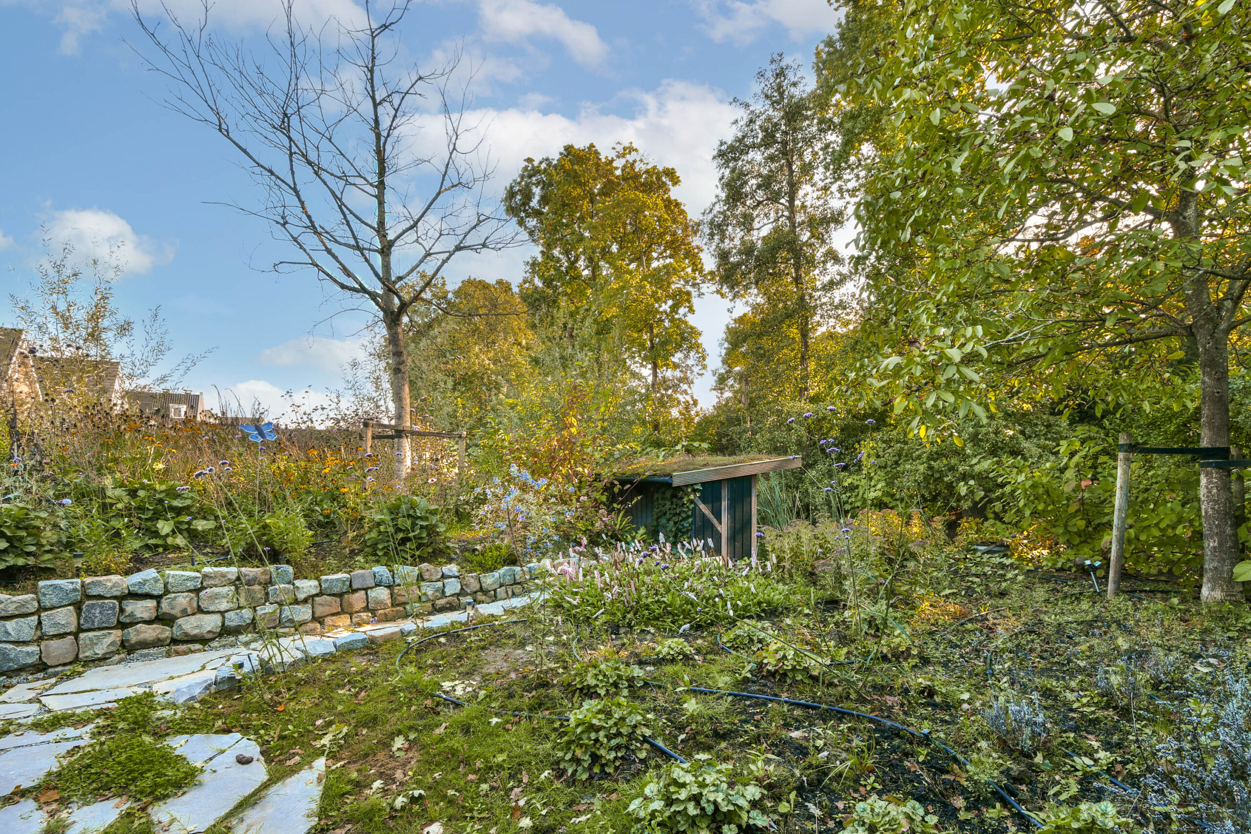 LT100624-53355-Vecht-en-Veld-53,-Vreeland-257234264