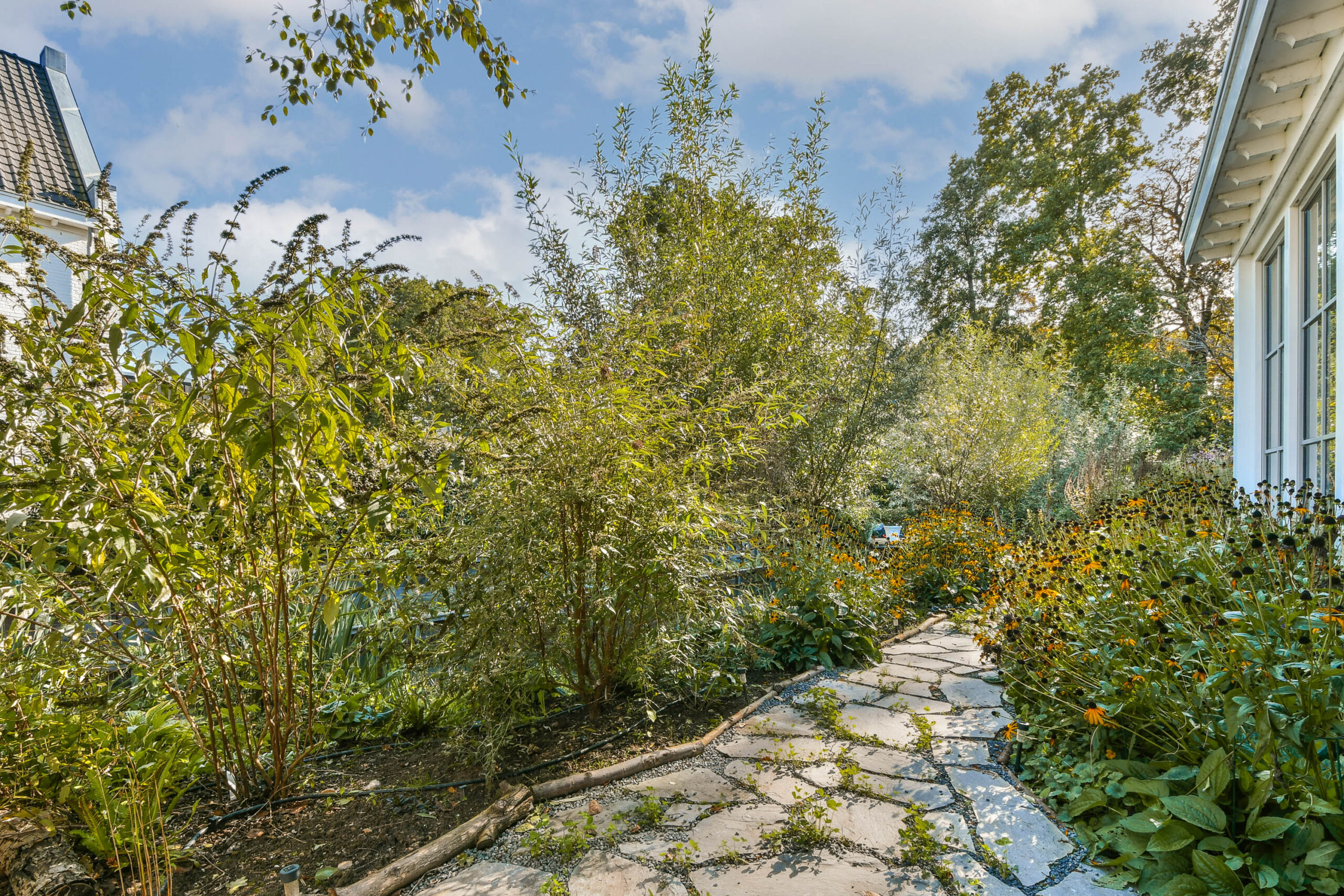 LT100624-53355-Vecht-en-Veld-53,-Vreeland-257234268