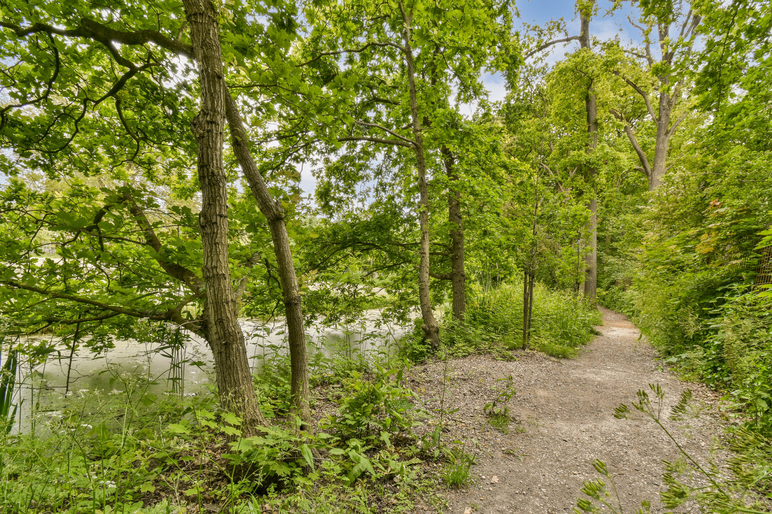 LT100624-53355-Vecht-en-Veld-53,-Vreeland-257234386